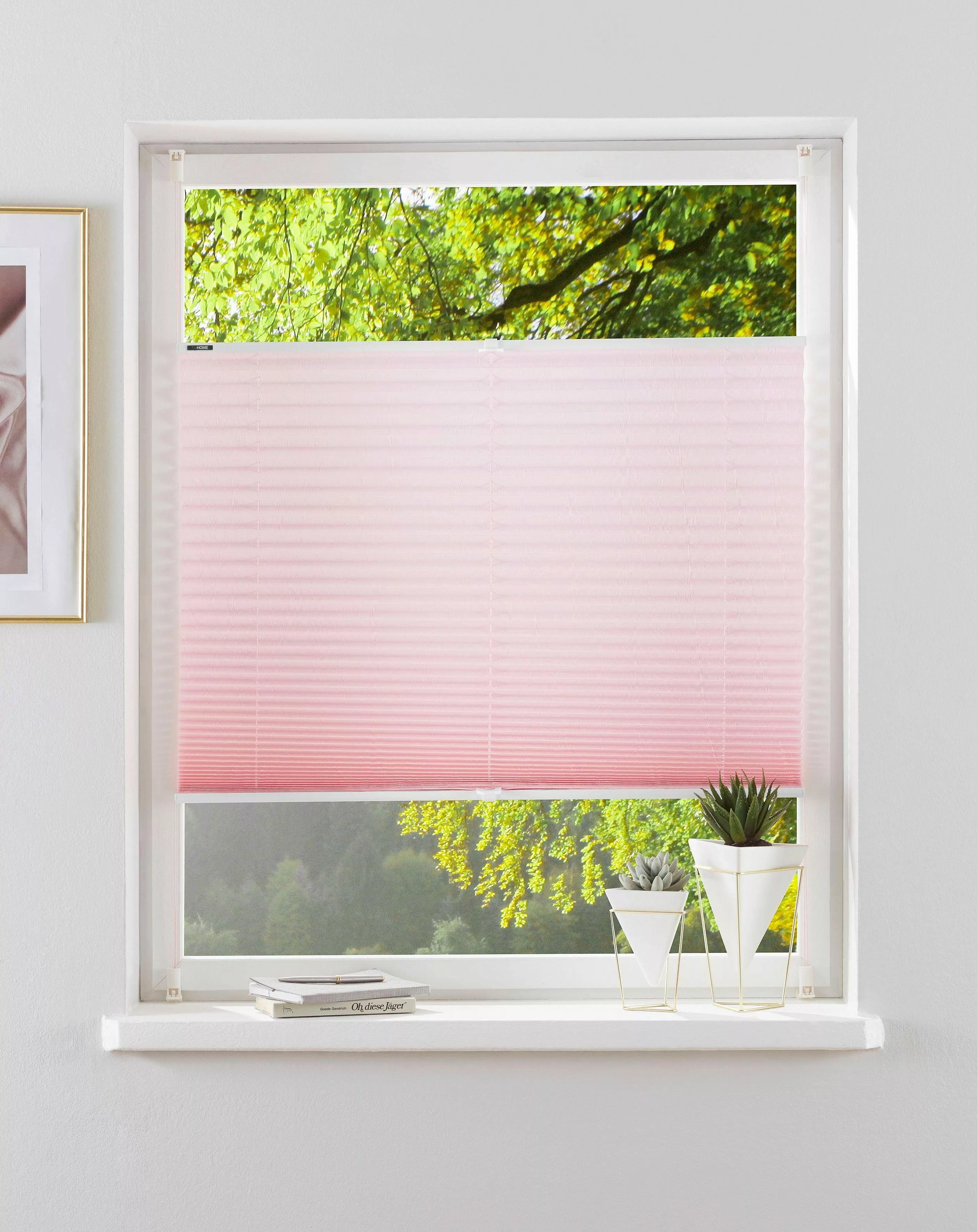my home Plissee DAHRA - in günstig online kaufen