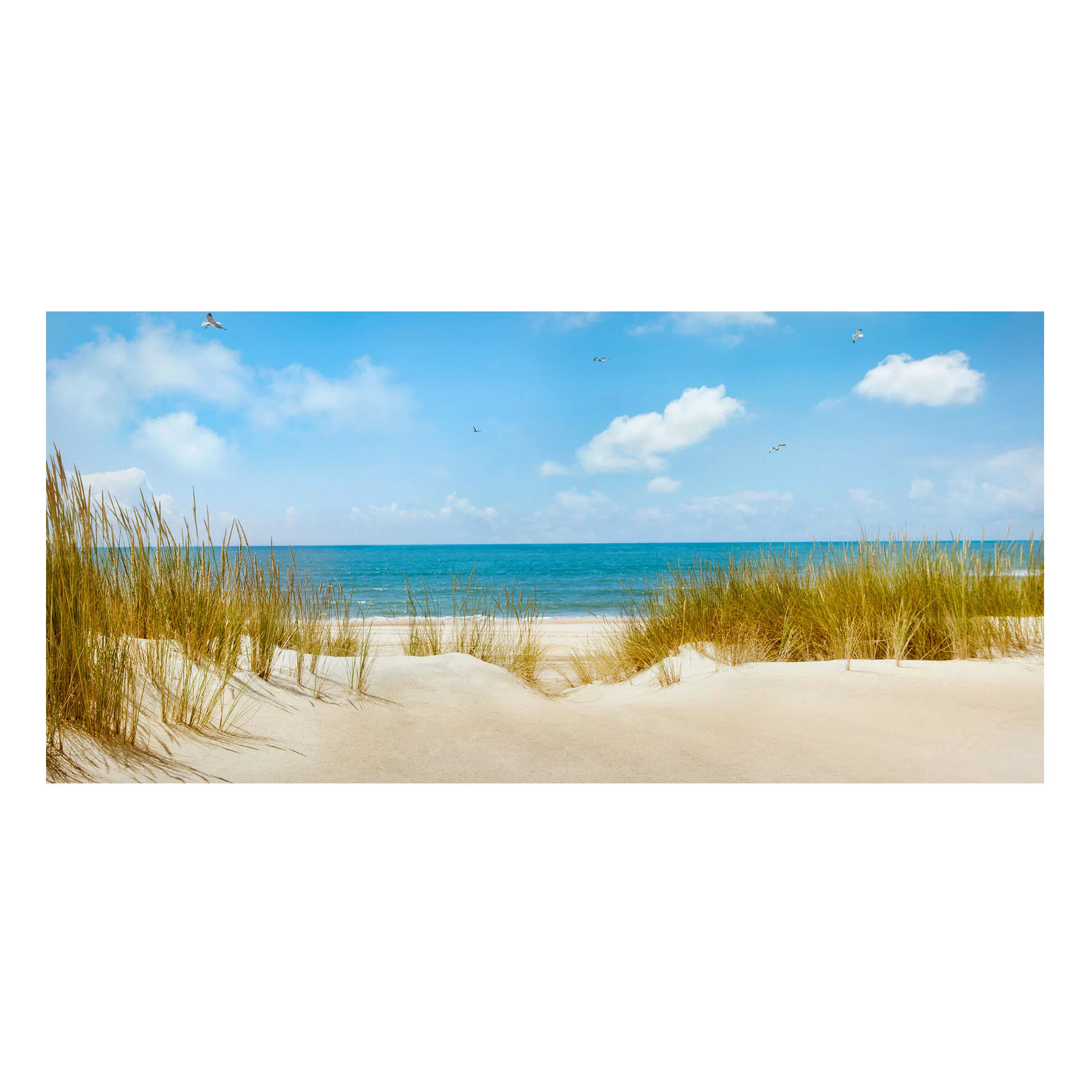 Magnettafel Strand - Querformat 2:1 Strand an der Nordsee günstig online kaufen