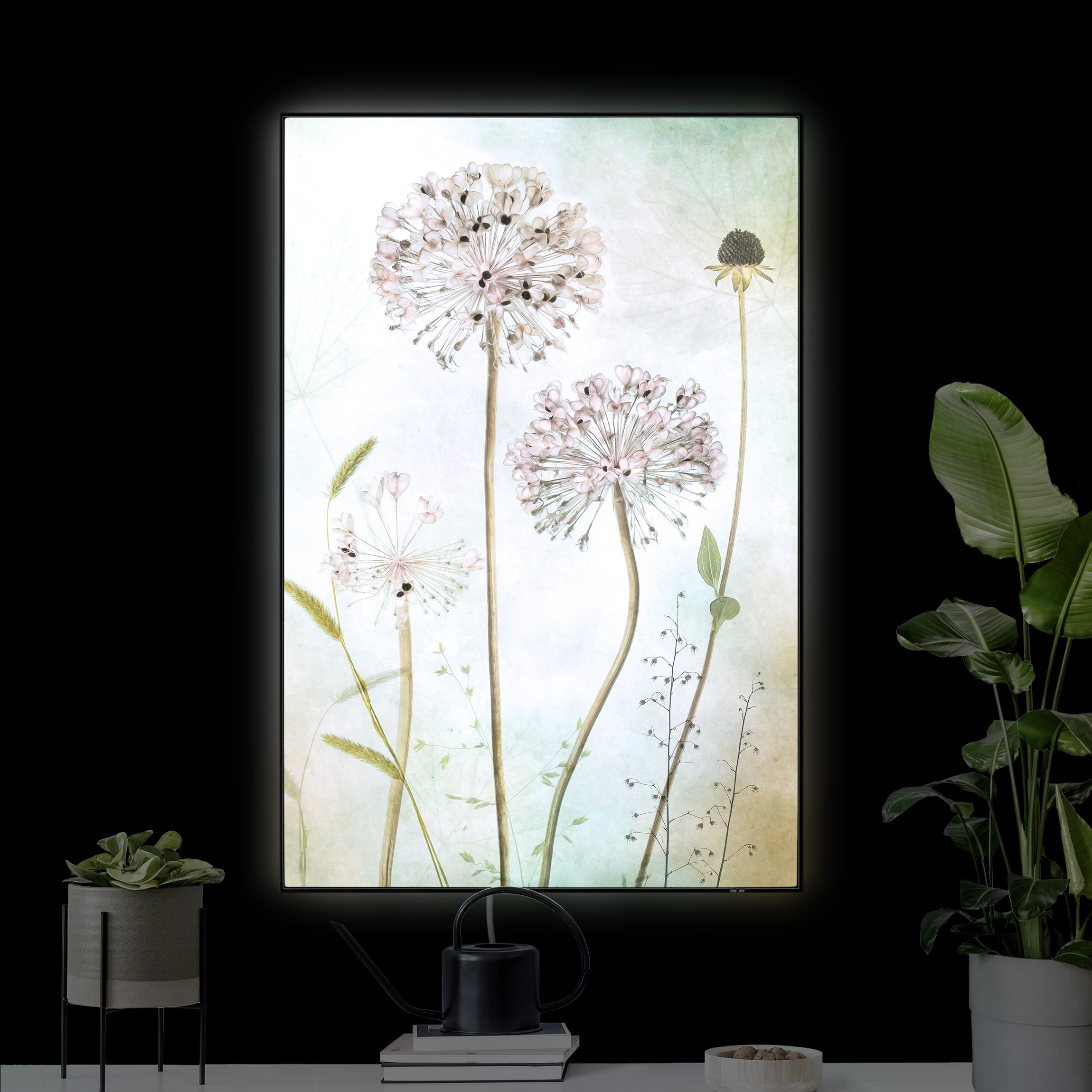 LED-Wechselbild Lauchblüten in Pastell günstig online kaufen