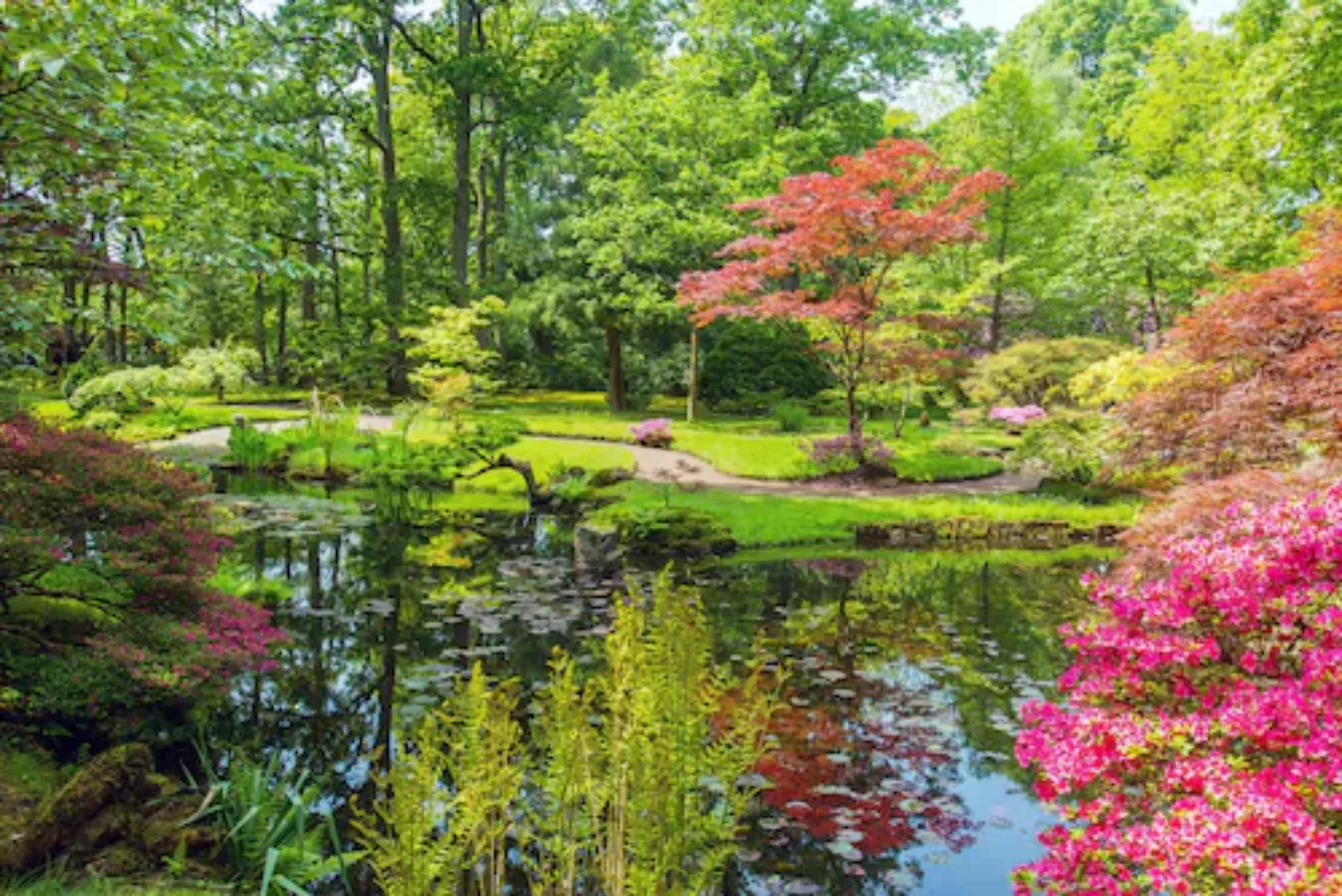 Papermoon Fototapete »GARTEN-BLUMEN BÄUME PFLANZEN STEINE WALD PARK BLÜTEN« günstig online kaufen