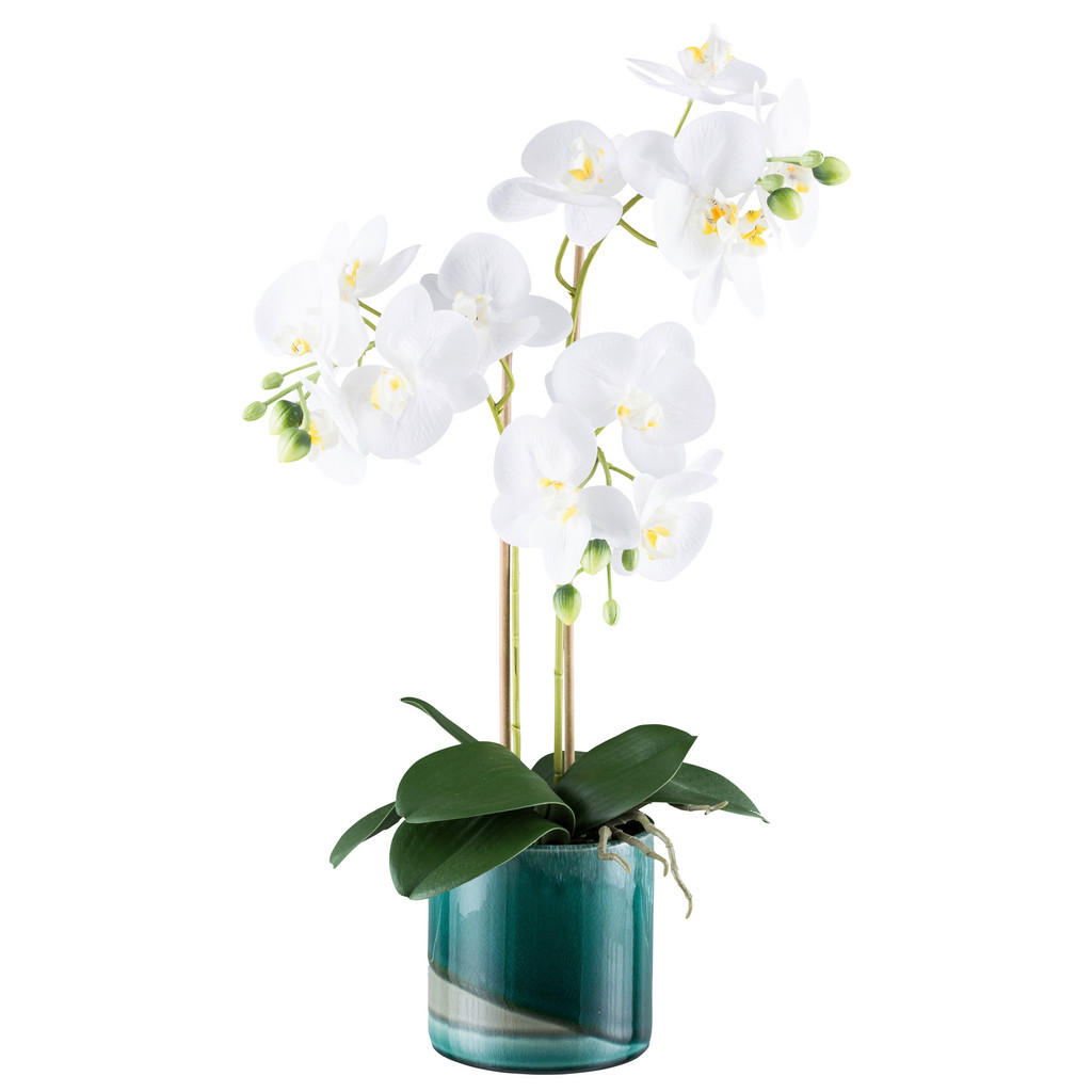 Kunstpflanze Phalaenopsis weiß Kunststoff B/H/L: ca. 17x55x17 cm günstig online kaufen