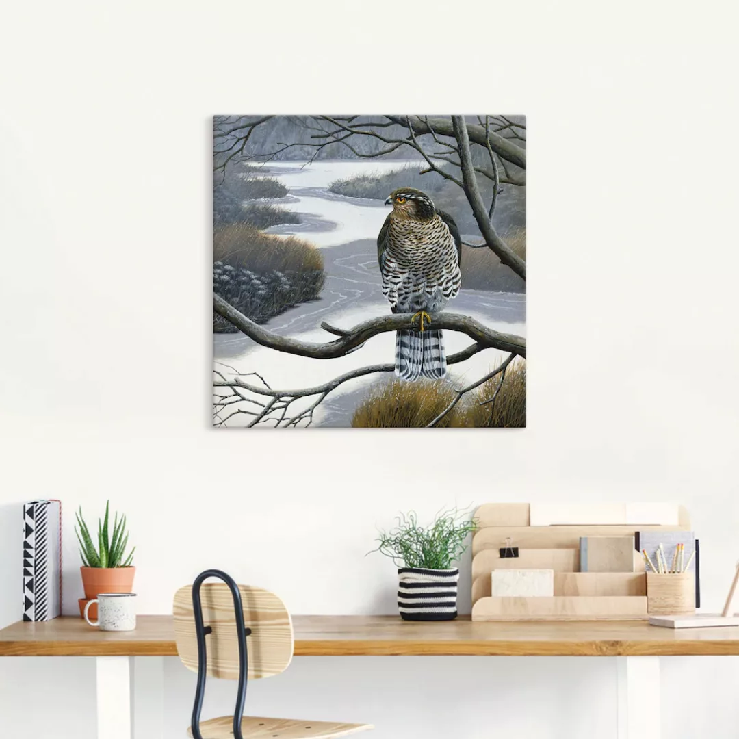 Artland Wandbild "Falke im Baum", Vögel, (1 St.), als Leinwandbild, Wandauf günstig online kaufen