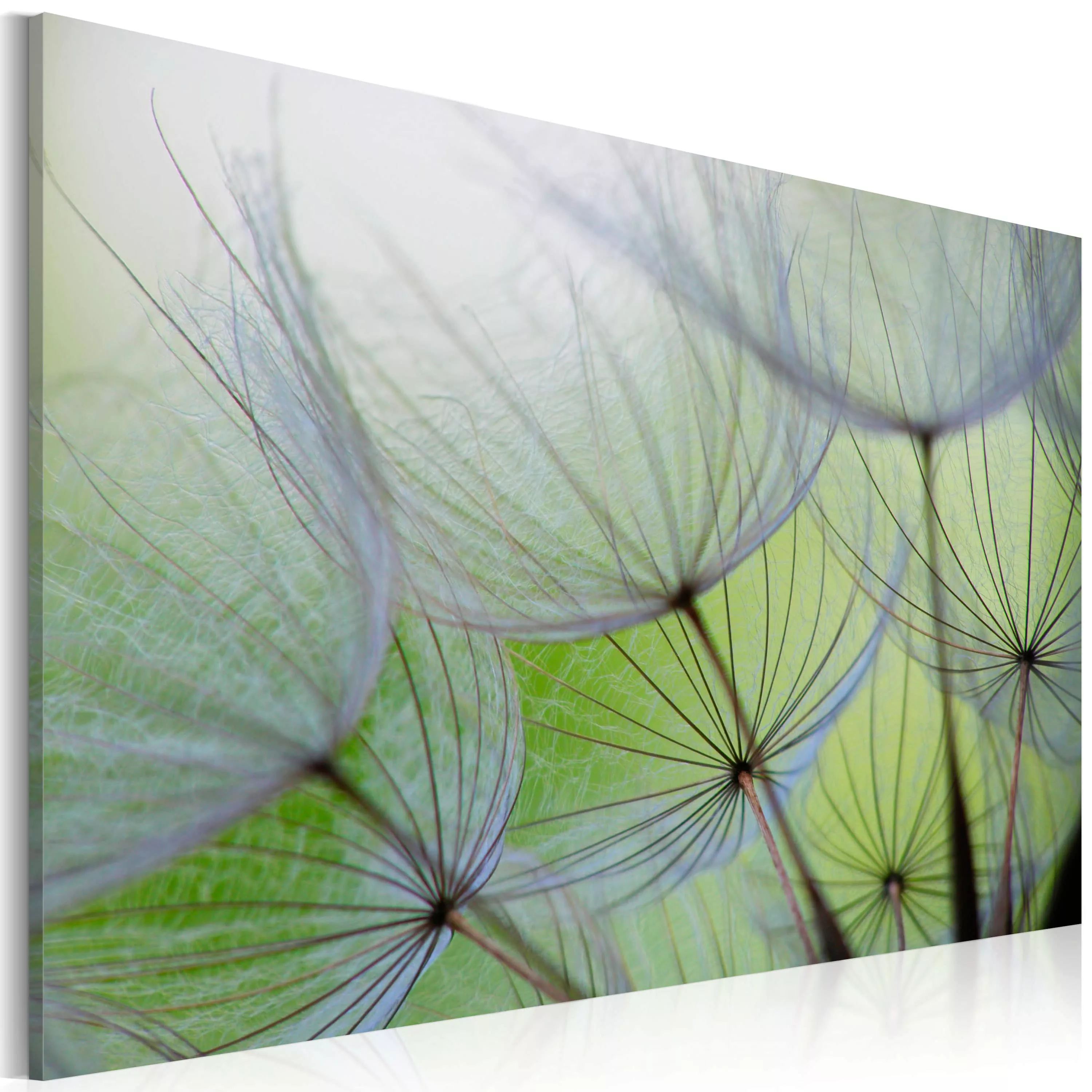 Wandbild - Dandelion in the wind günstig online kaufen