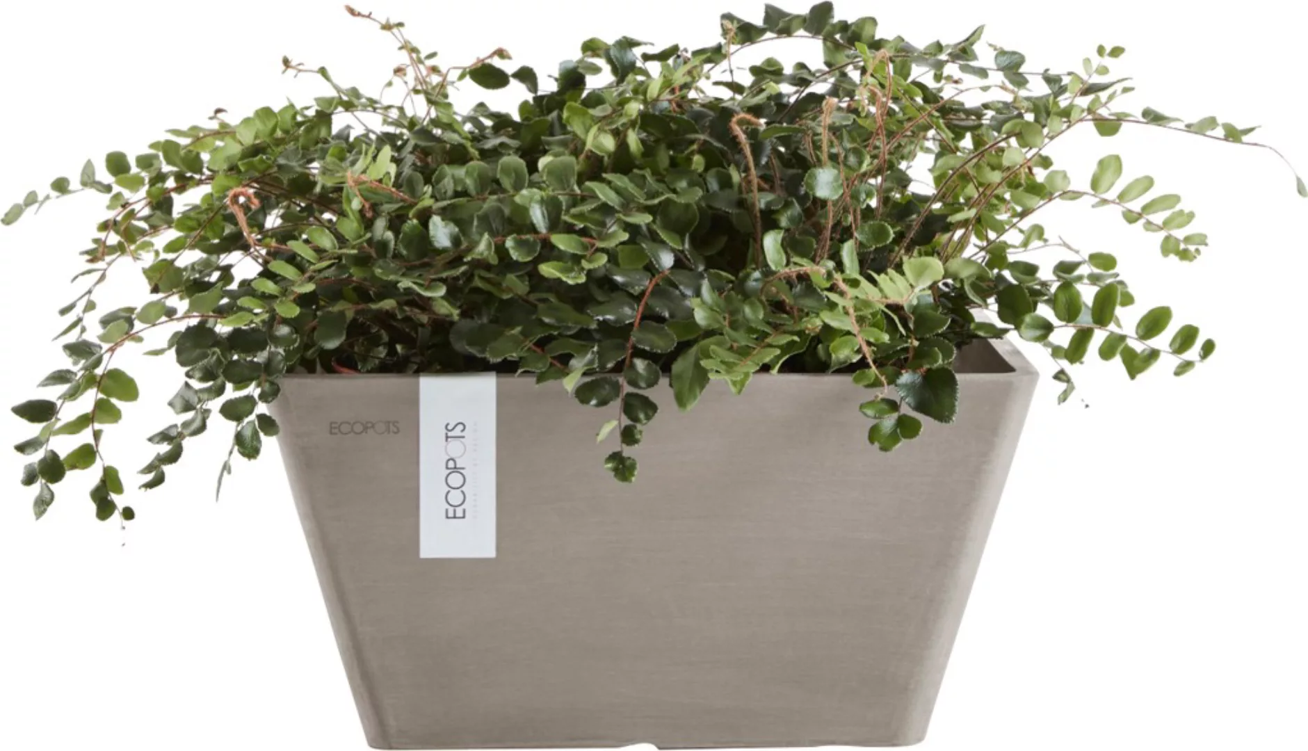 Ecopots Pflanzschale Berlin Quadratisch Braungrau 41 cm x 18 cm günstig online kaufen