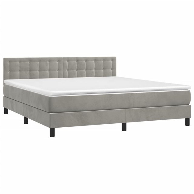 furnicato Bett Boxspringbett mit Matratze Hellgrau 160x200 cm Samt (1-tlg) günstig online kaufen