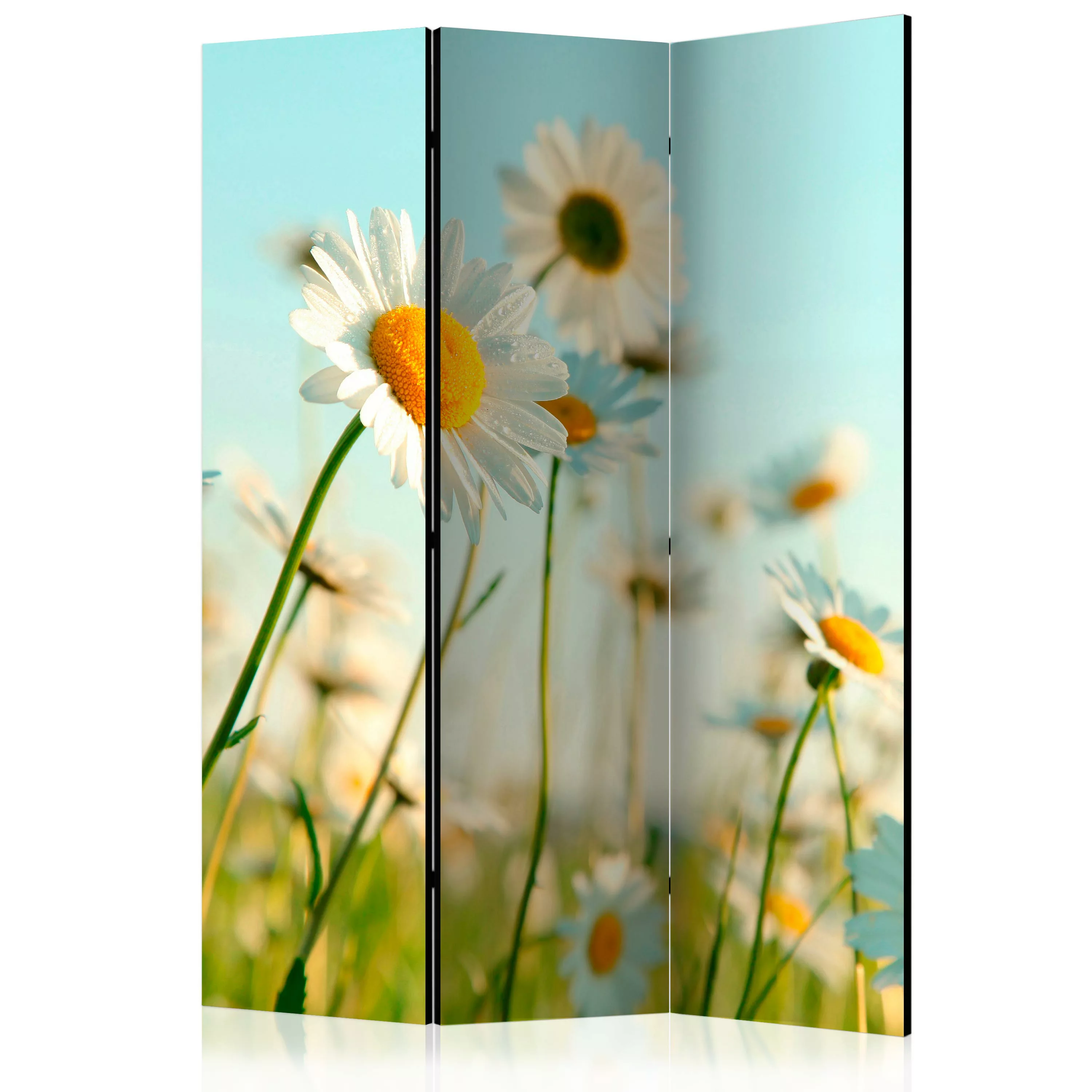 3-teiliges Paravent - Daisies - Spring Meadow [room Dividers] günstig online kaufen