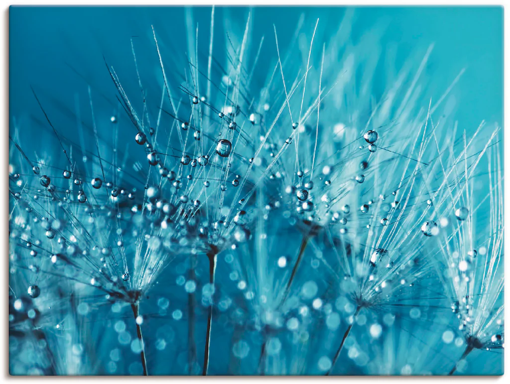 Artland Wandbild "Blaue glitzernde Pusteblume", Blumen, (1 St.), als Leinwa günstig online kaufen