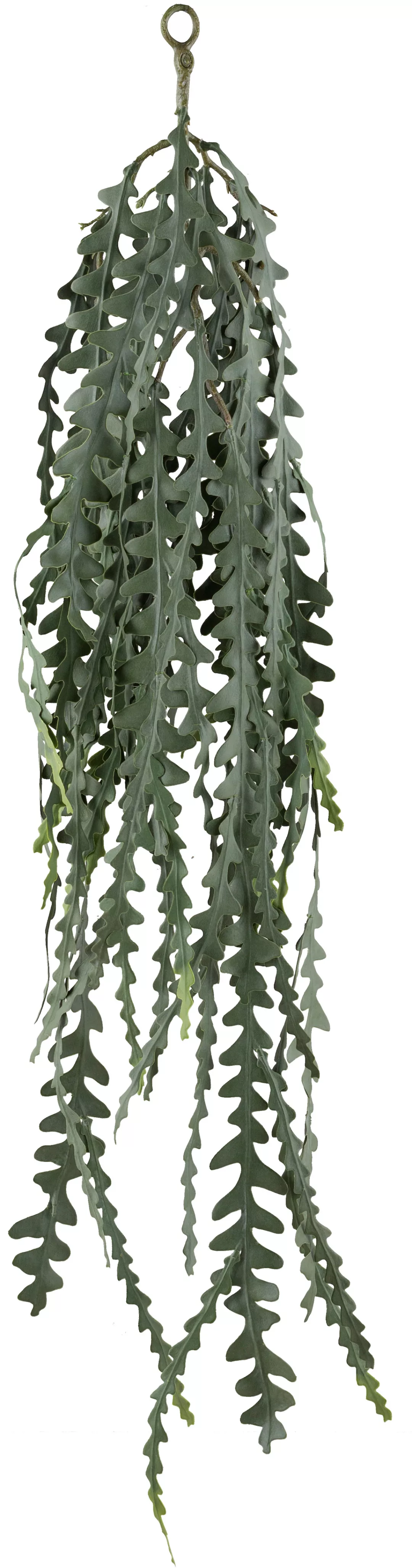 Creativ green Kunstranke "Hängepflanze Epiphyllum anguliger", mit detailget günstig online kaufen