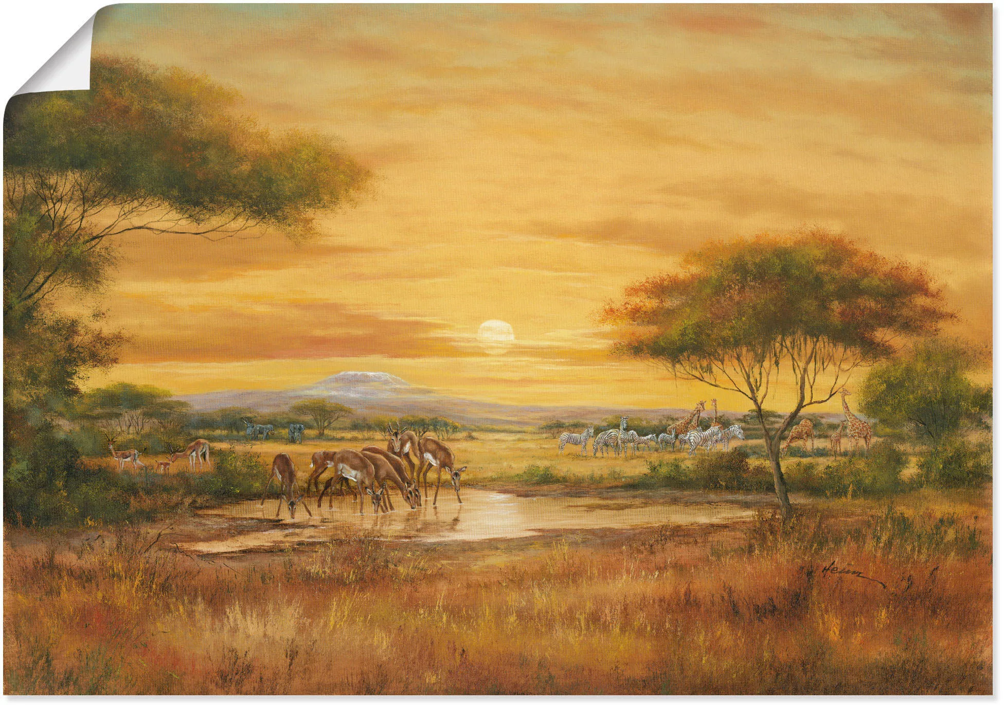 Artland Wandbild "Afrikanische Steppe", Wildtiere, (1 St.), als Alubild, Ou günstig online kaufen