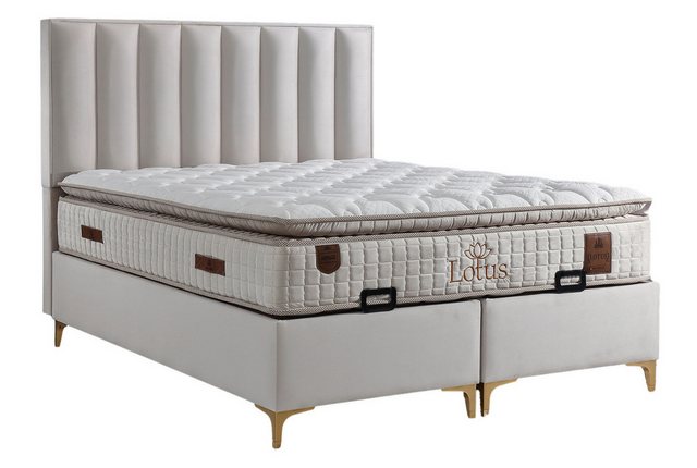 Villa Möbel Boxspringbett Lotus, XXL-Bettkasten mit Gasdruckfedern  mühelos günstig online kaufen