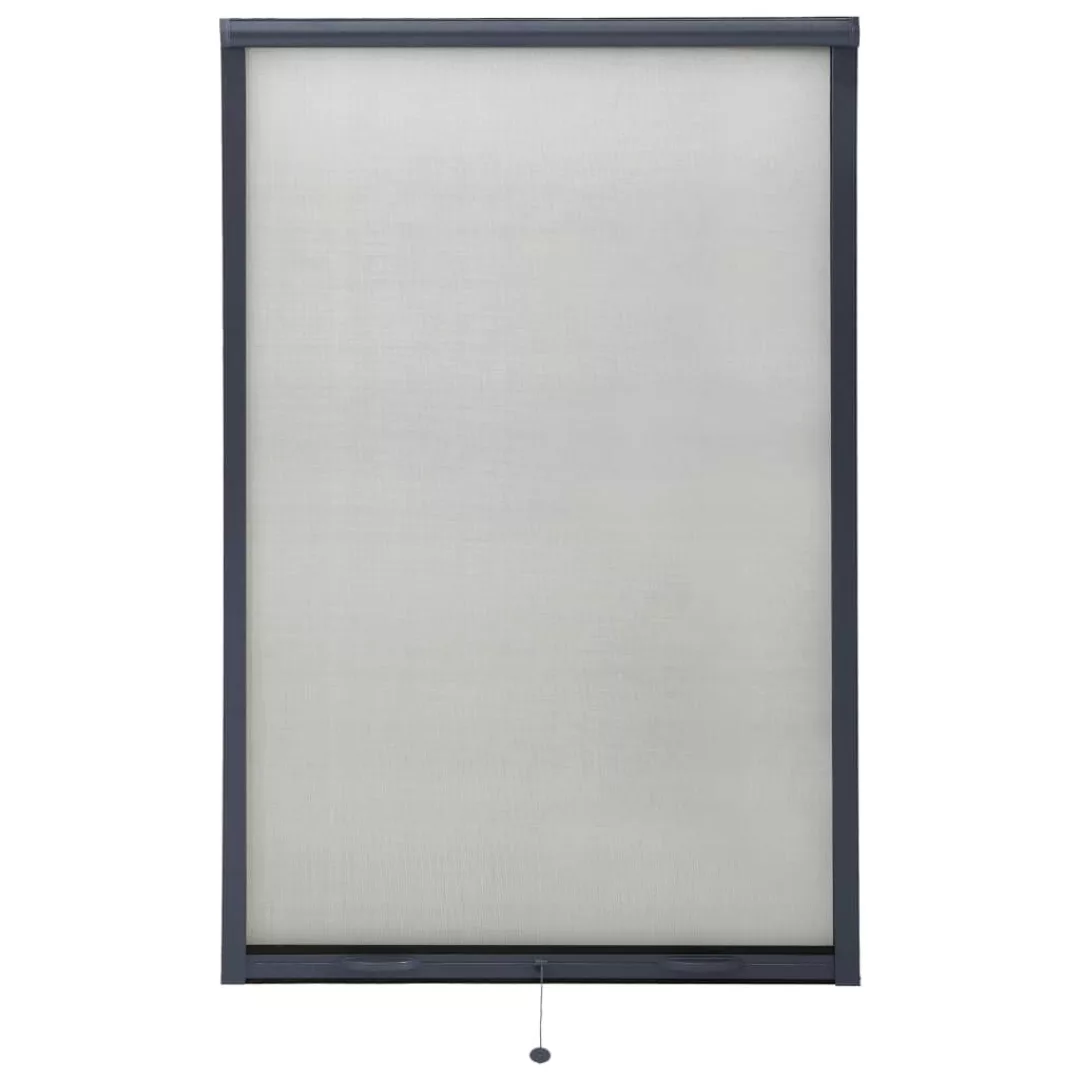 Insektenschutzrollo Für Fenster Anthrazit 100x170 Cm günstig online kaufen