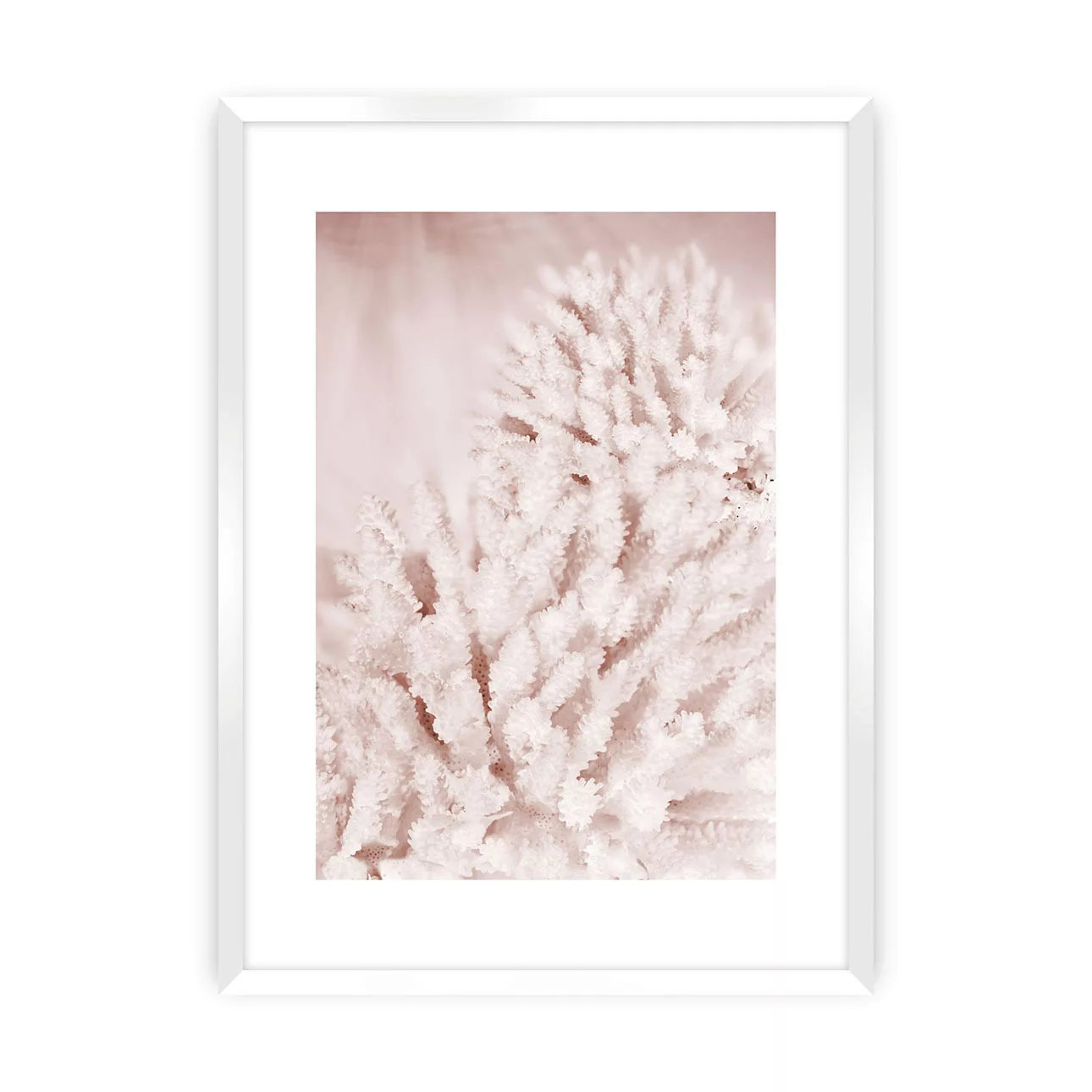 Poster Pastel Pink II, 70 x 100 cm, Rahmen wählen: weisser Rahmen günstig online kaufen