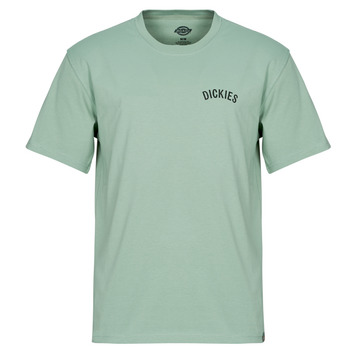 Dickies  T-Shirt DICKIES SNAKE SS TEE günstig online kaufen