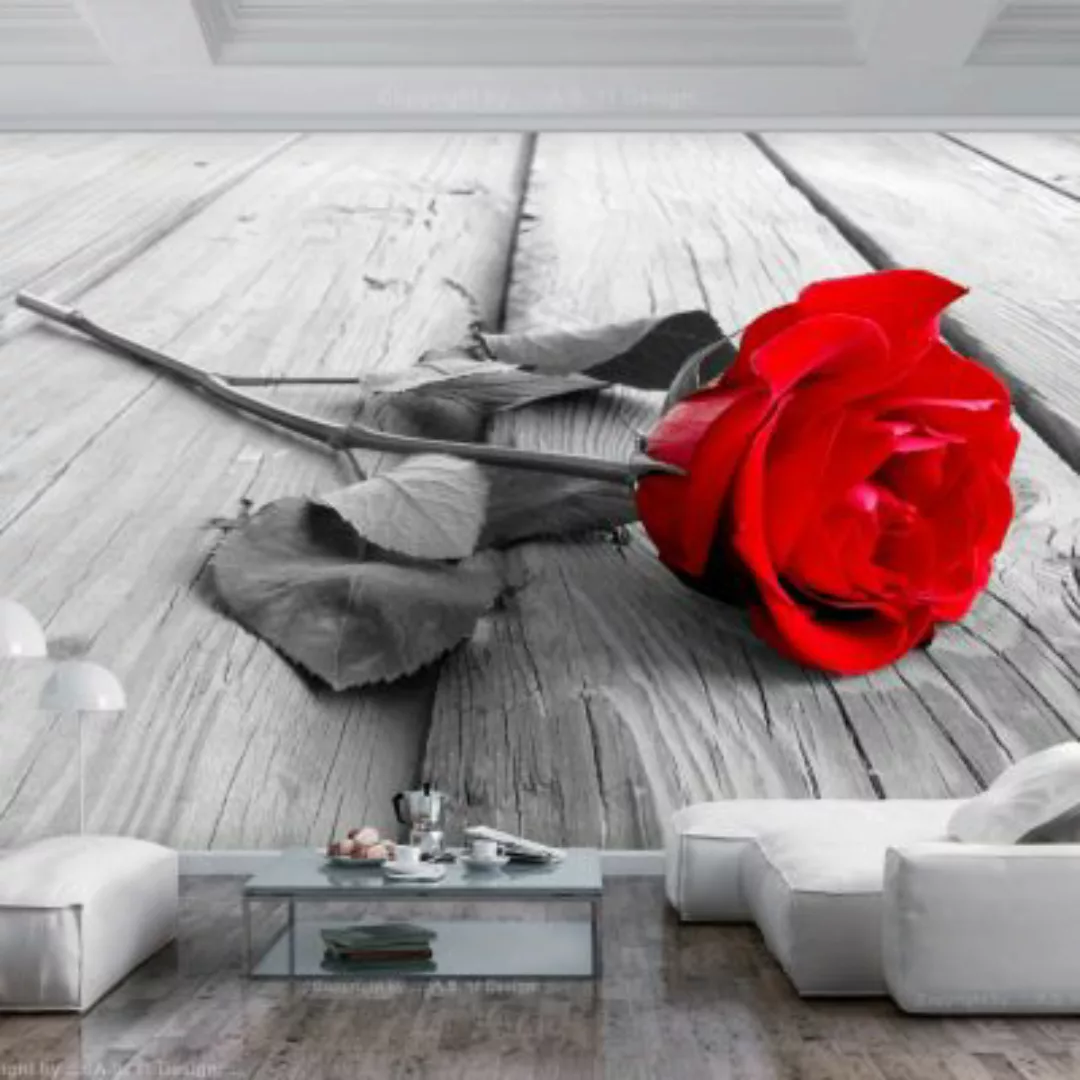 artgeist Fototapete Abandoned Rose rot-kombi Gr. 350 x 245 günstig online kaufen