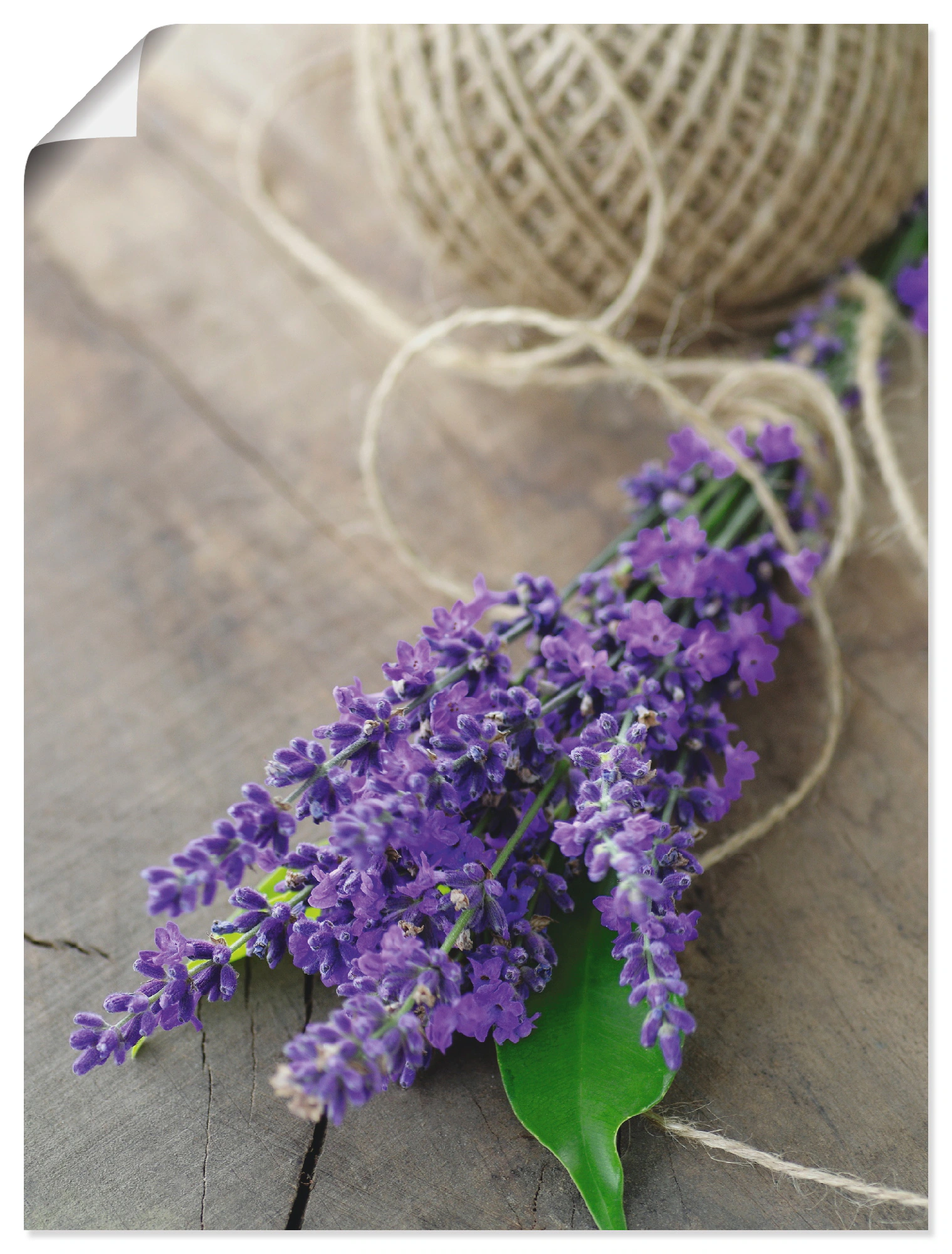 Artland Wandbild »Lavendel Strauß«, Blumen, (1 St.), als Leinwandbild, Post günstig online kaufen