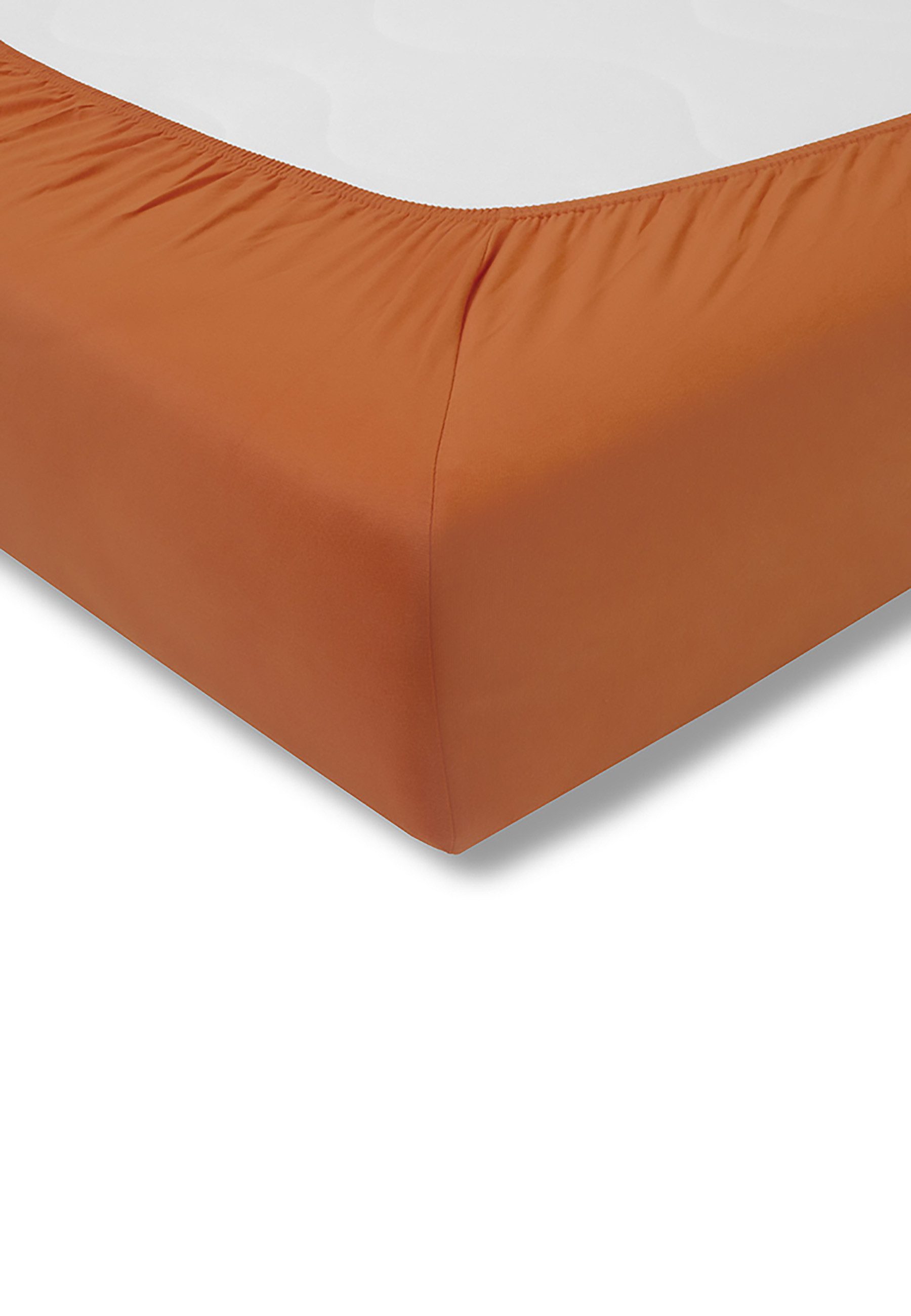 Estella Spannbettlaken Spannbetttuch Zwirn-Jersey Topper, Jersey, günstig online kaufen