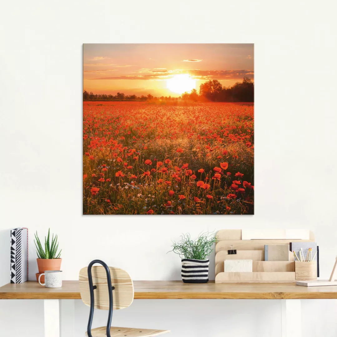 Artland Glasbild "Mohnblumenfeld bei Sonnenuntergang", Blumen, (1 St.) günstig online kaufen