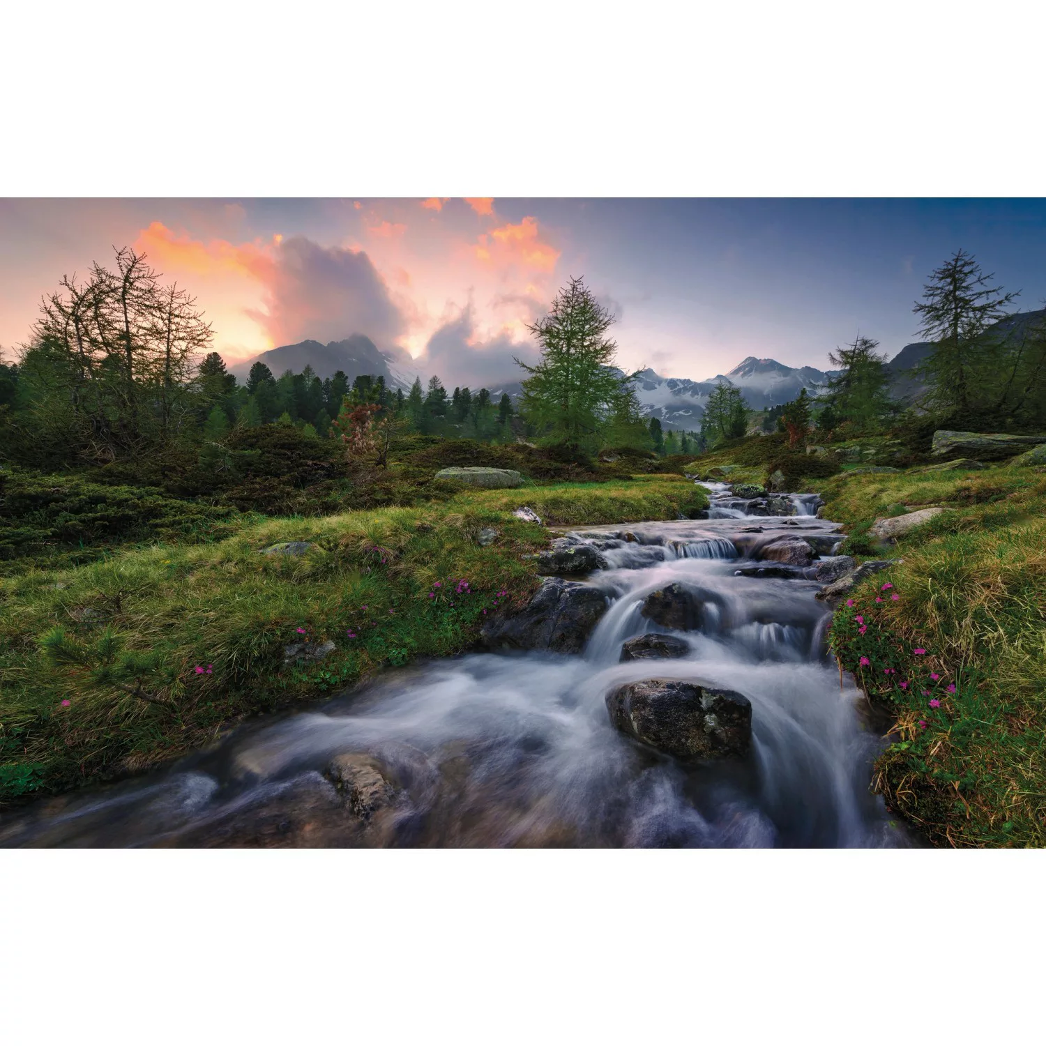 KOMAR Vlies Fototapete - Wild Paradise - Größe 450 x 280 cm mehrfarbig günstig online kaufen