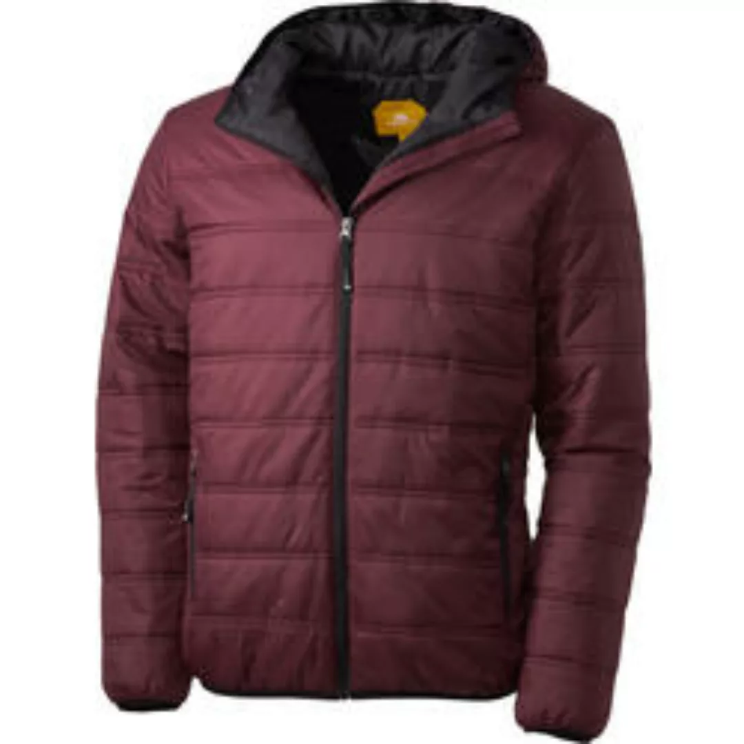 Nordcap Herren Steppjacke günstig online kaufen