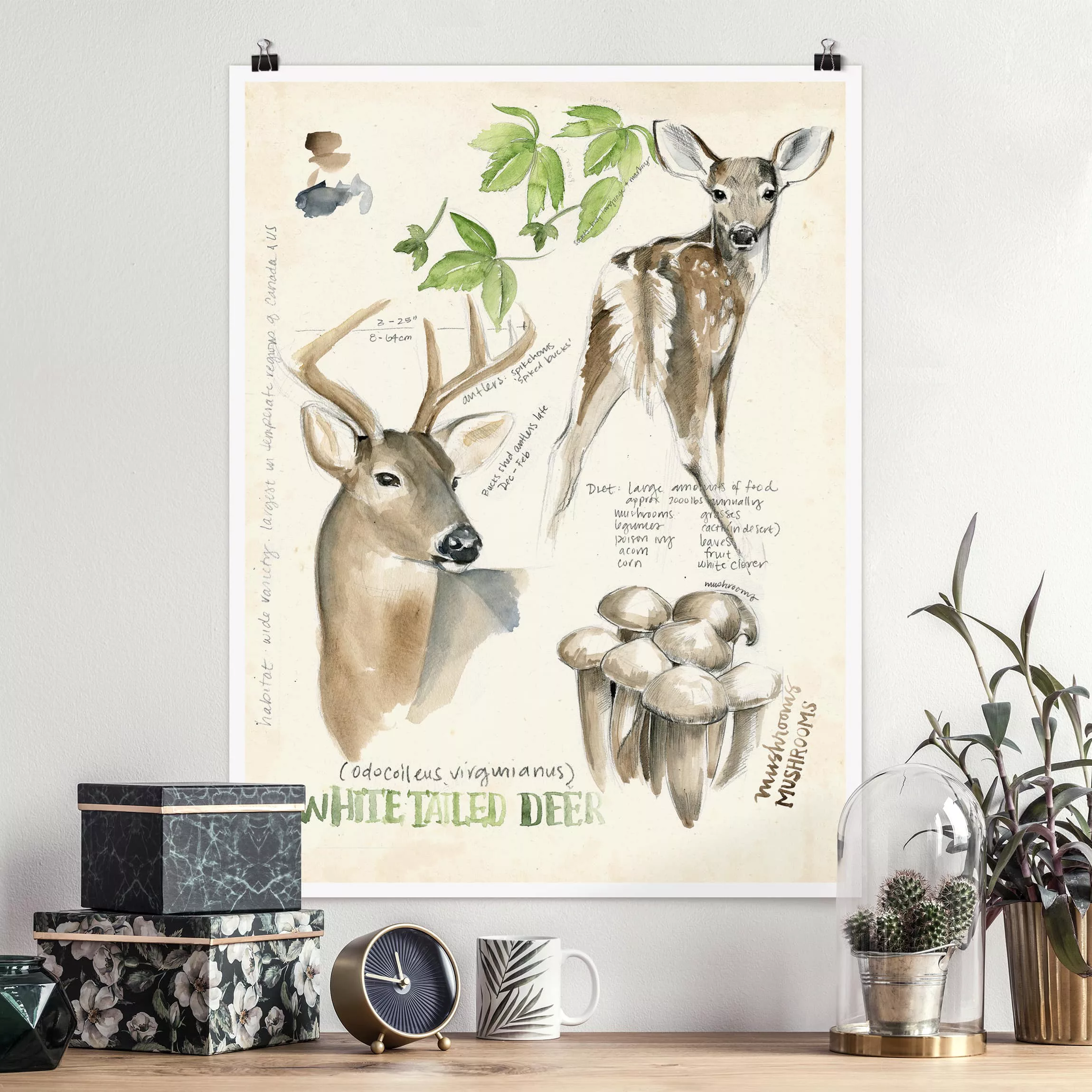 Poster Blumen - Hochformat Wildnis Journal - Hirsch günstig online kaufen