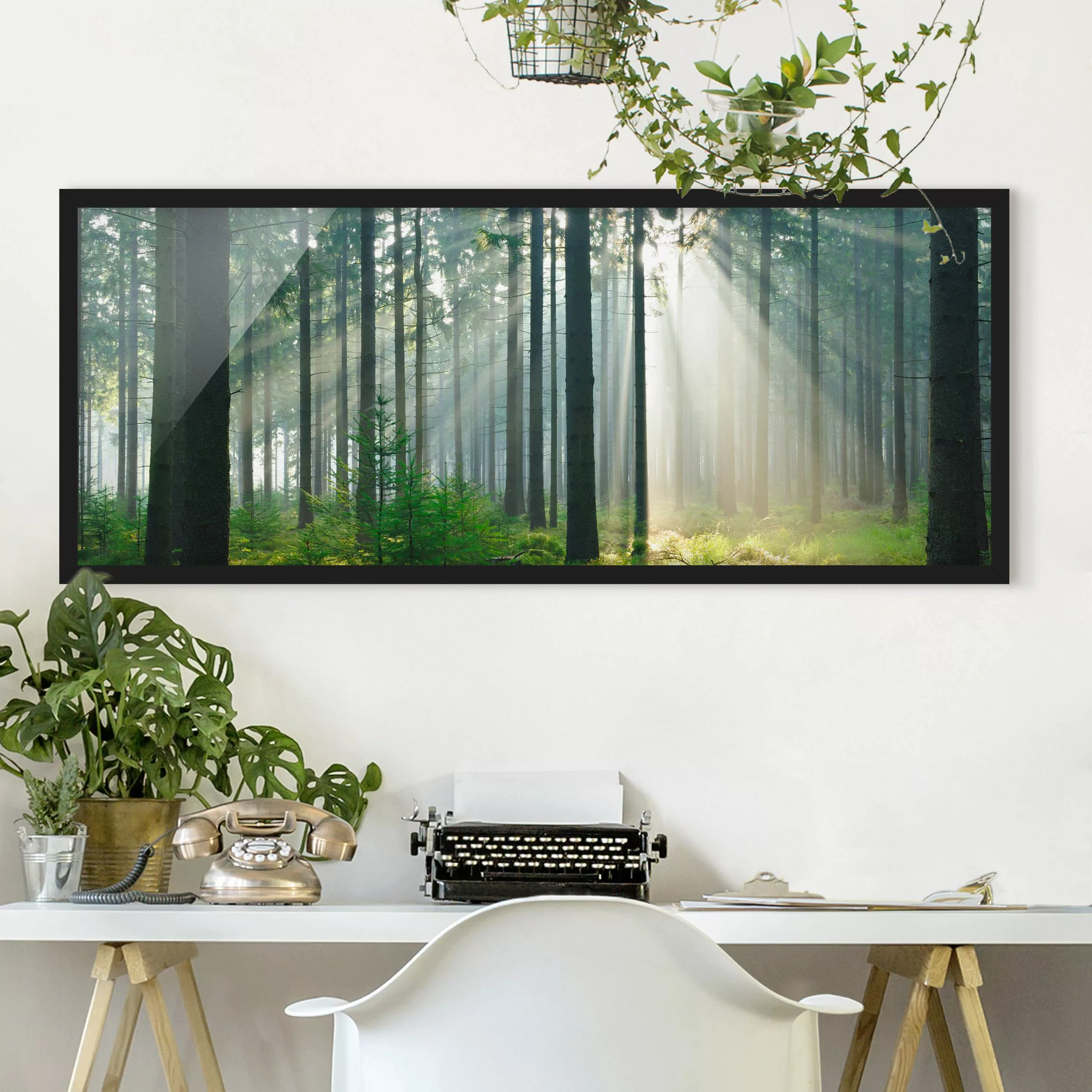 Bild mit Rahmen Natur & Landschaft - Panorama Enlightened Forest günstig online kaufen
