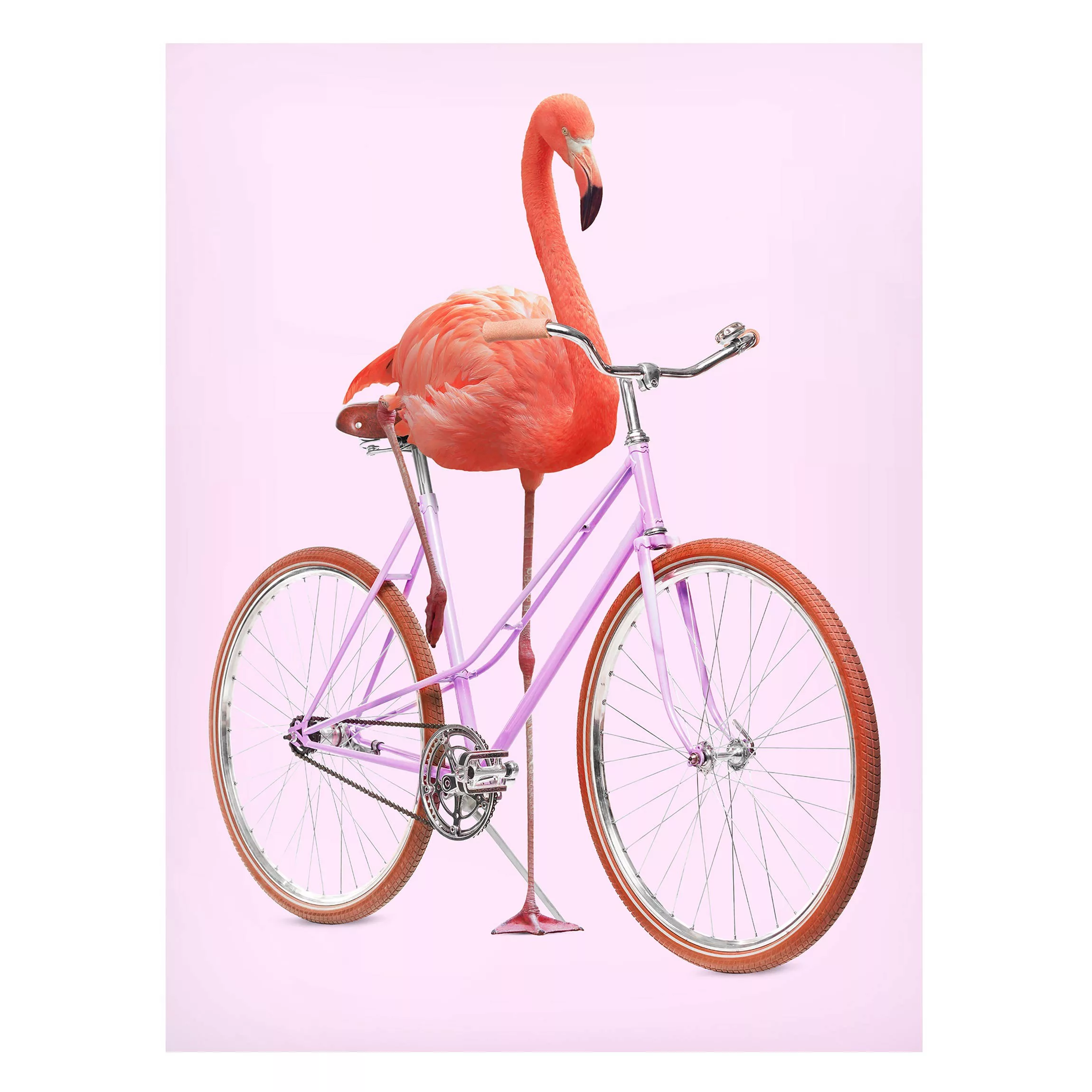 Magnettafel Tiere - Hochformat 3:4 Flamingo mit Fahrrad günstig online kaufen
