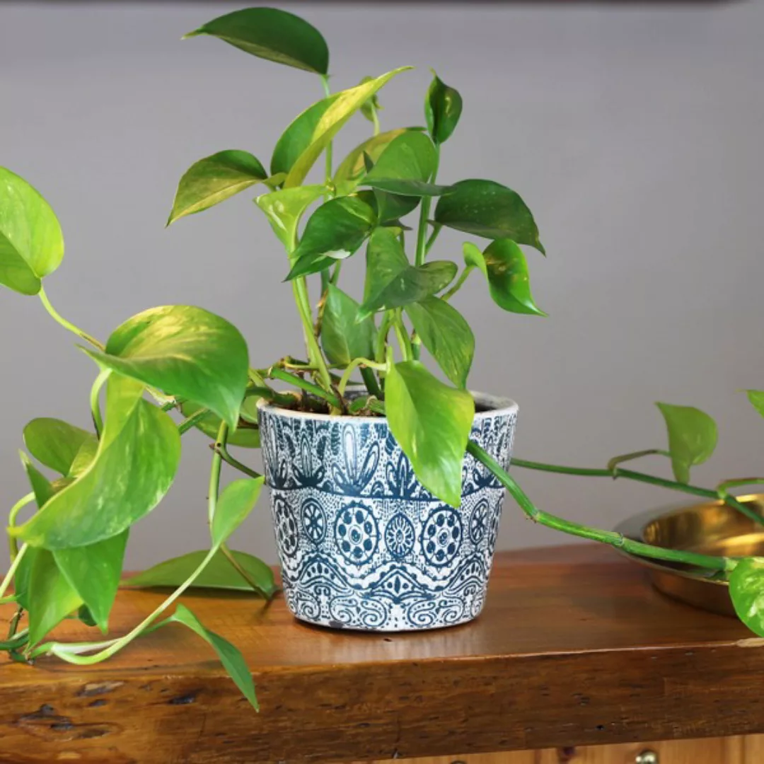 Blumentopf Aus Keramik 14cm günstig online kaufen