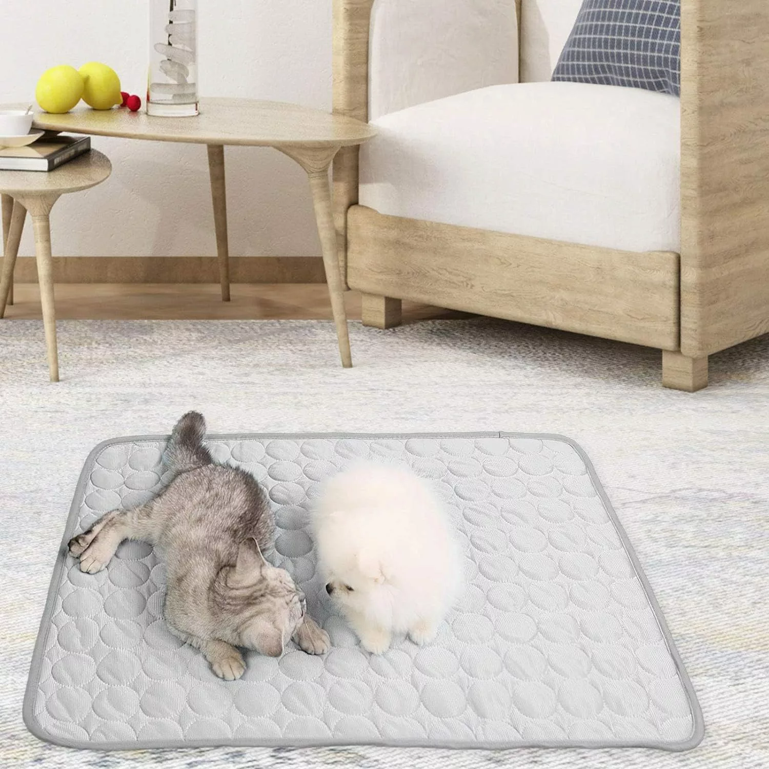 Coonoor Hundematte Kühlmatte für Katze und günstig online kaufen