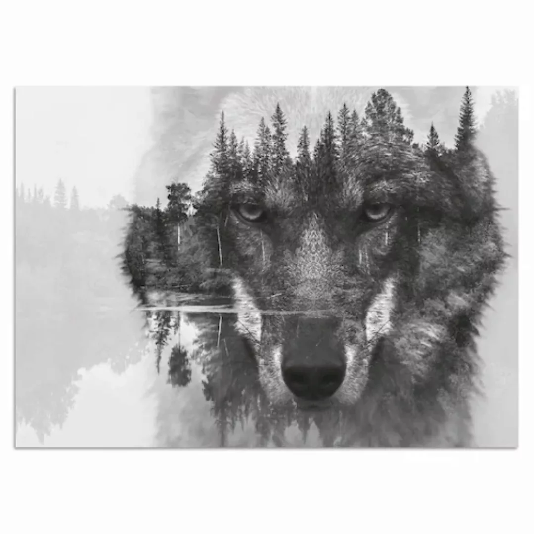 Home affaire Acrylglasbild "Wolf", Schwarz/ Weiß, Spiegelung, Wald, Kanada günstig online kaufen