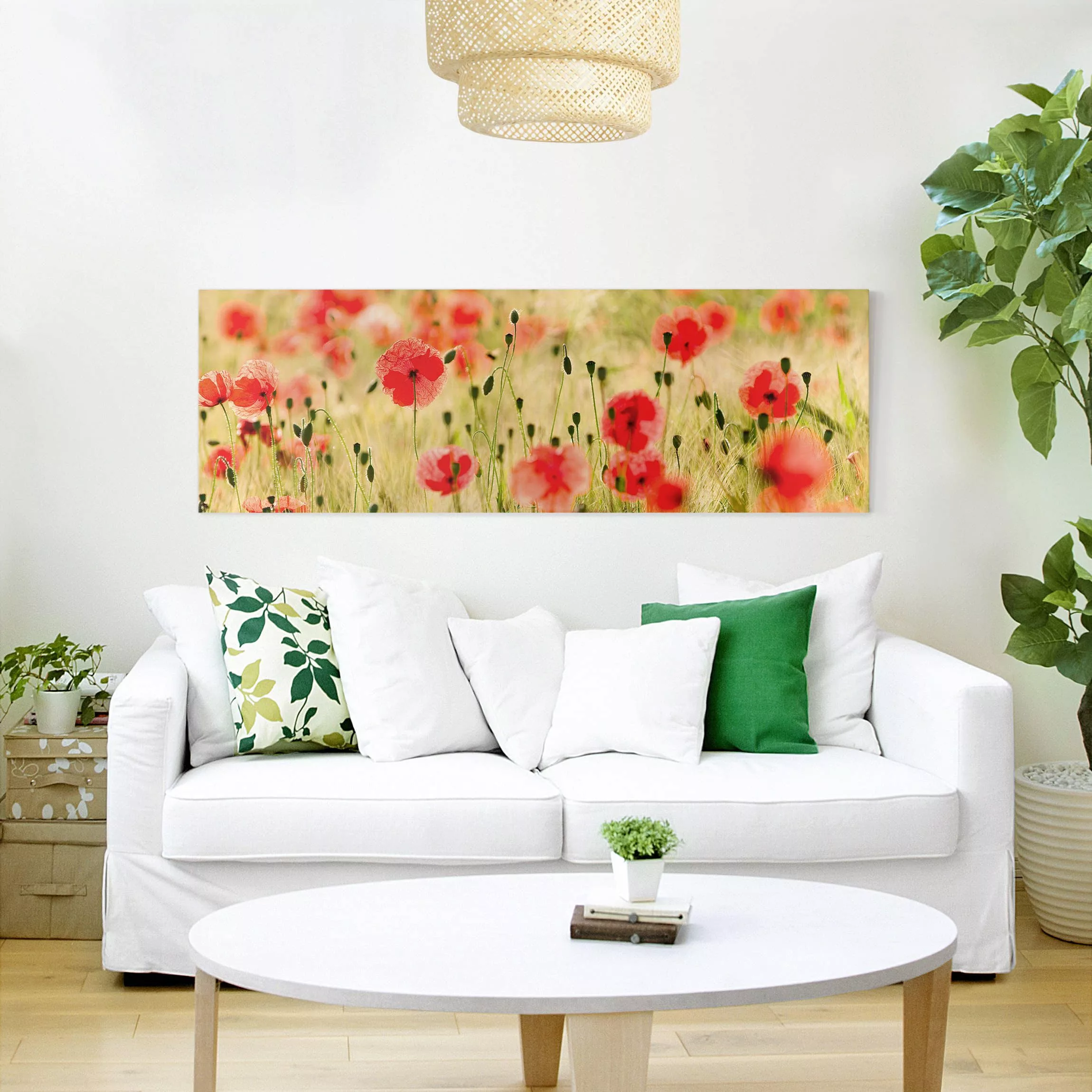Leinwandbild Blumen - Panorama Summer Poppies günstig online kaufen