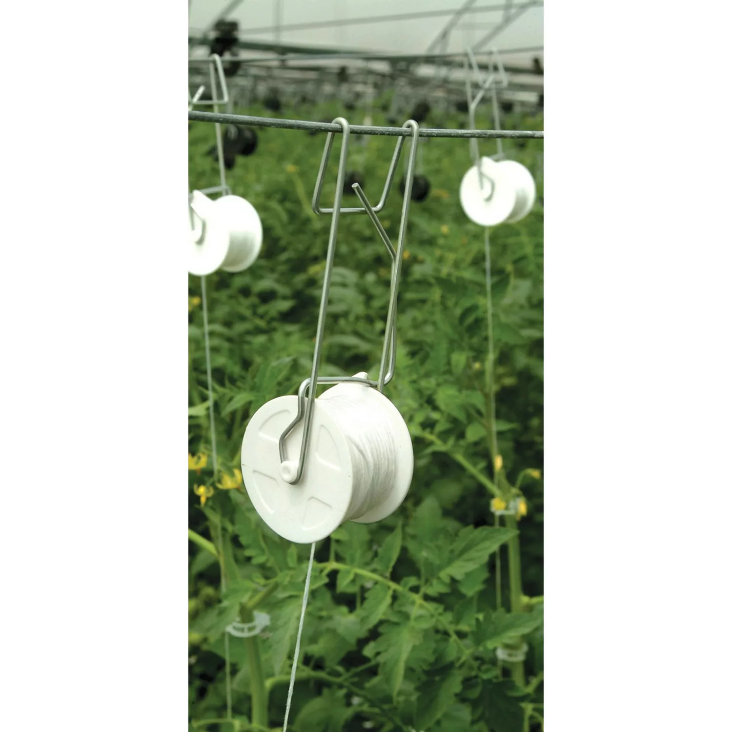 Rion Tomatenrank-Kit 6er Set für Gewächshaus Grand Gardener/Prestige günstig online kaufen