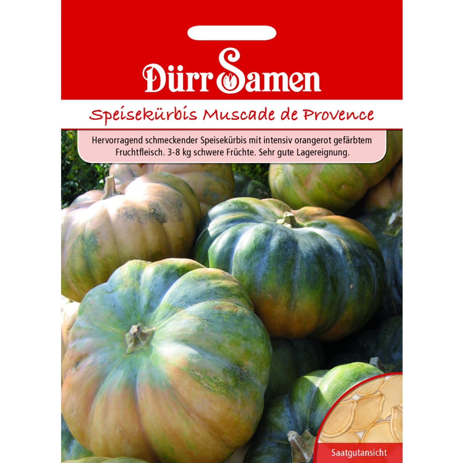 Dürr Samen Speisekürbis Muscade De Provence Saatgut günstig online kaufen