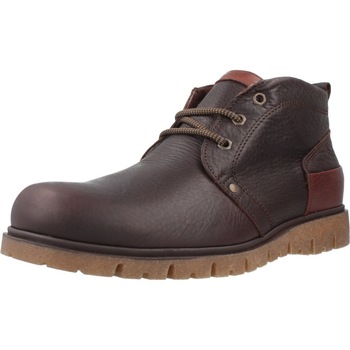 Pitillos  Herrenstiefel 40201P günstig online kaufen