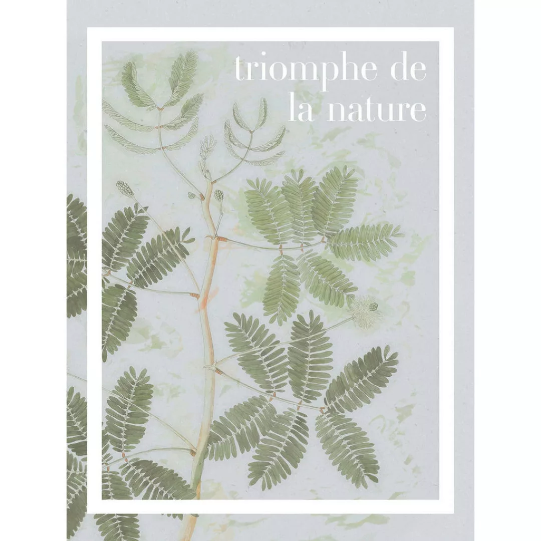 Komar Poster Triomphe de la nature Spruch B/L: ca. 30x40 cm günstig online kaufen