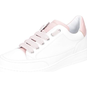 Candice Cooper  Halbschuhe Schnuerschuhe Velanie Nappa 2016633-07-1N81 günstig online kaufen