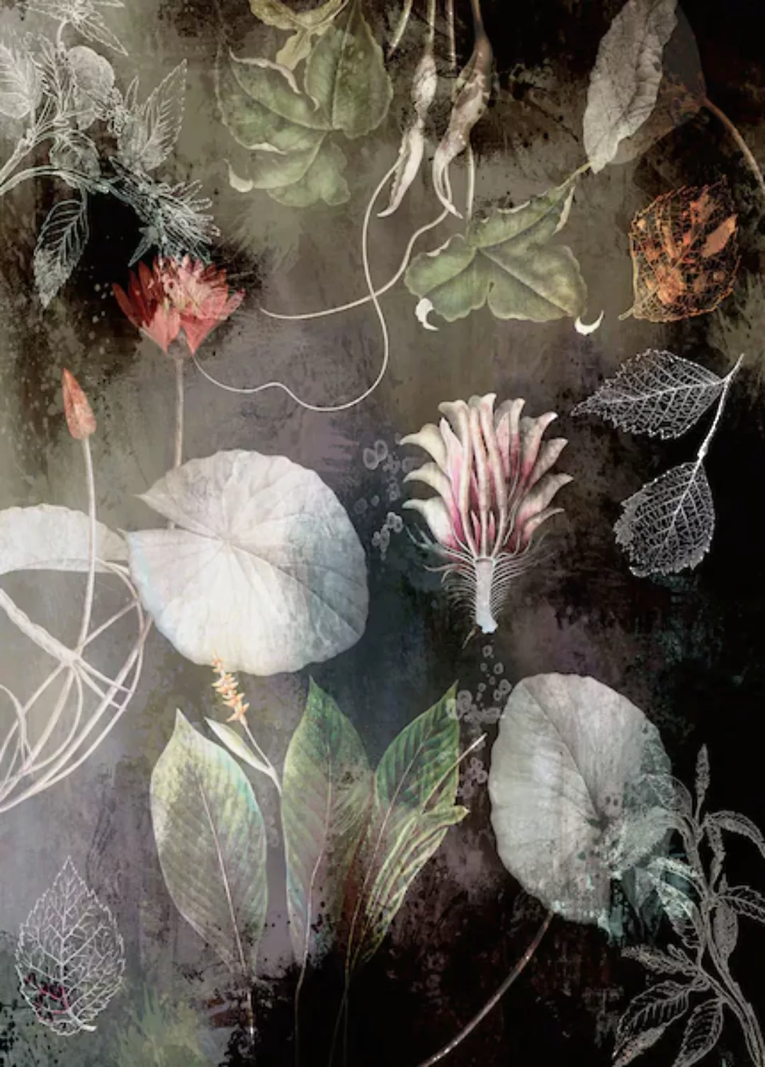 KOMAR Vlies Fototapete - Night Flowers - Größe 200 x 280 cm mehrfarbig günstig online kaufen