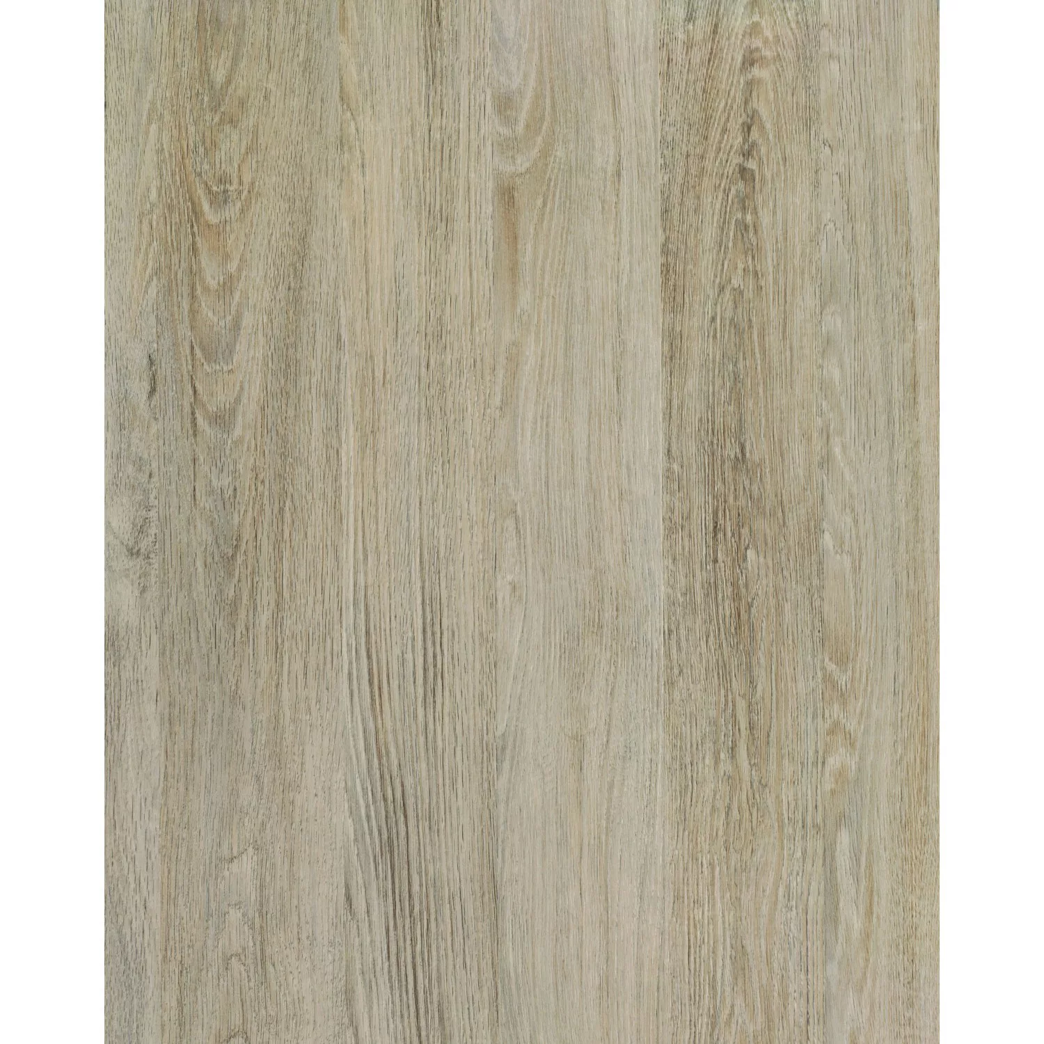 d-c-fix Klebefolie Santana Oak Kalk 200 cm x 67,5 cm günstig online kaufen