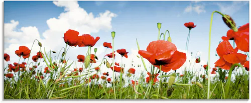 Artland Glasbild "Feld mit Mohnblumen unter Himmel", Blumenwiese, (1 St.), günstig online kaufen