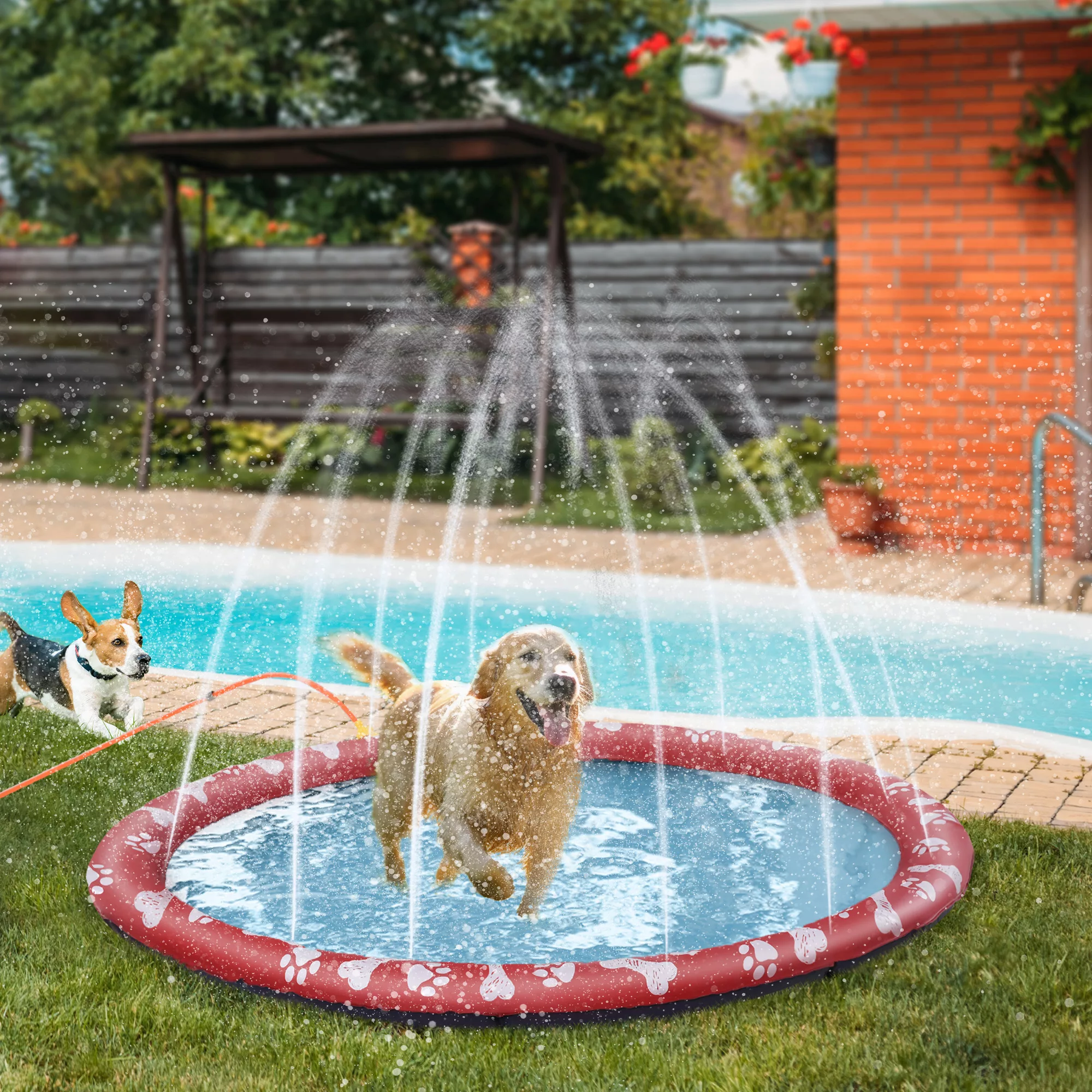 PawHut Hundepool für Hunde, Wassermatte Ø170 cm Hunde Planschbecken Spritz günstig online kaufen