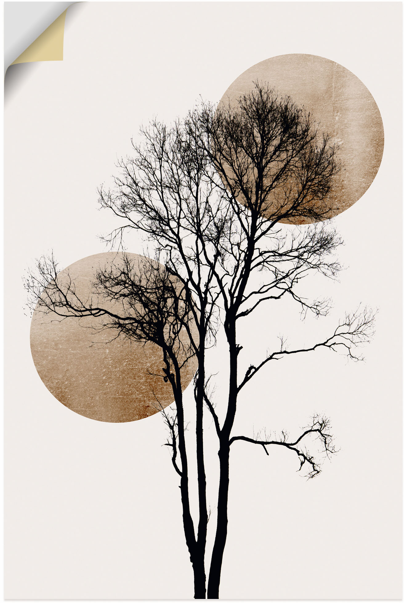 Artland Wandbild "Sonne und Mond versteckt", Baumbilder, (1 St.), als Alubi günstig online kaufen