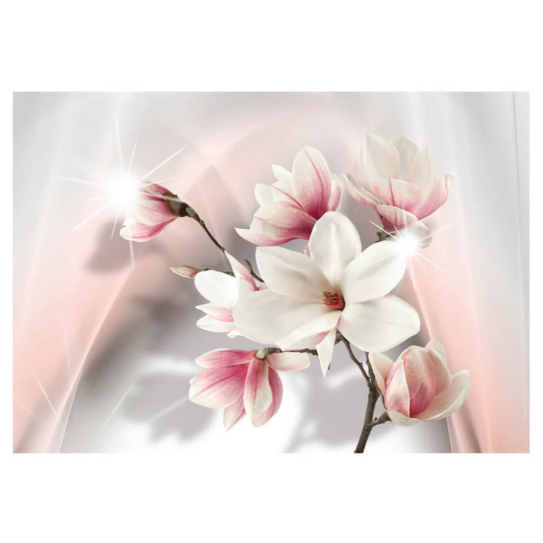 home24 Fototapete White Magnolias günstig online kaufen