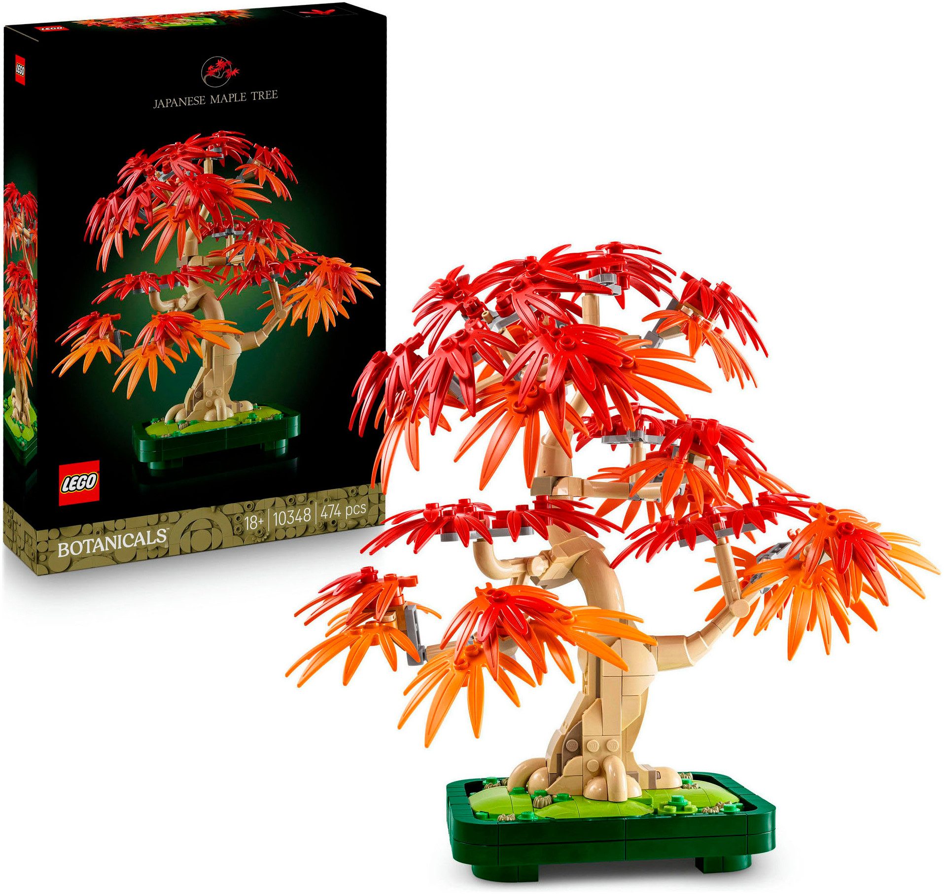 LEGO® Japanischer Roter Ahorn – Bonsai-Baum günstig online kaufen