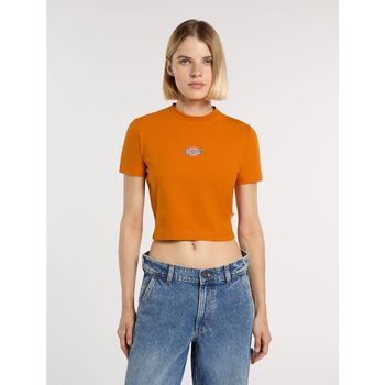 Dickies  T-Shirts & Poloshirts MAPLE VALLEY DK0A4XPO-K641 AUTUMN MAPLE günstig online kaufen