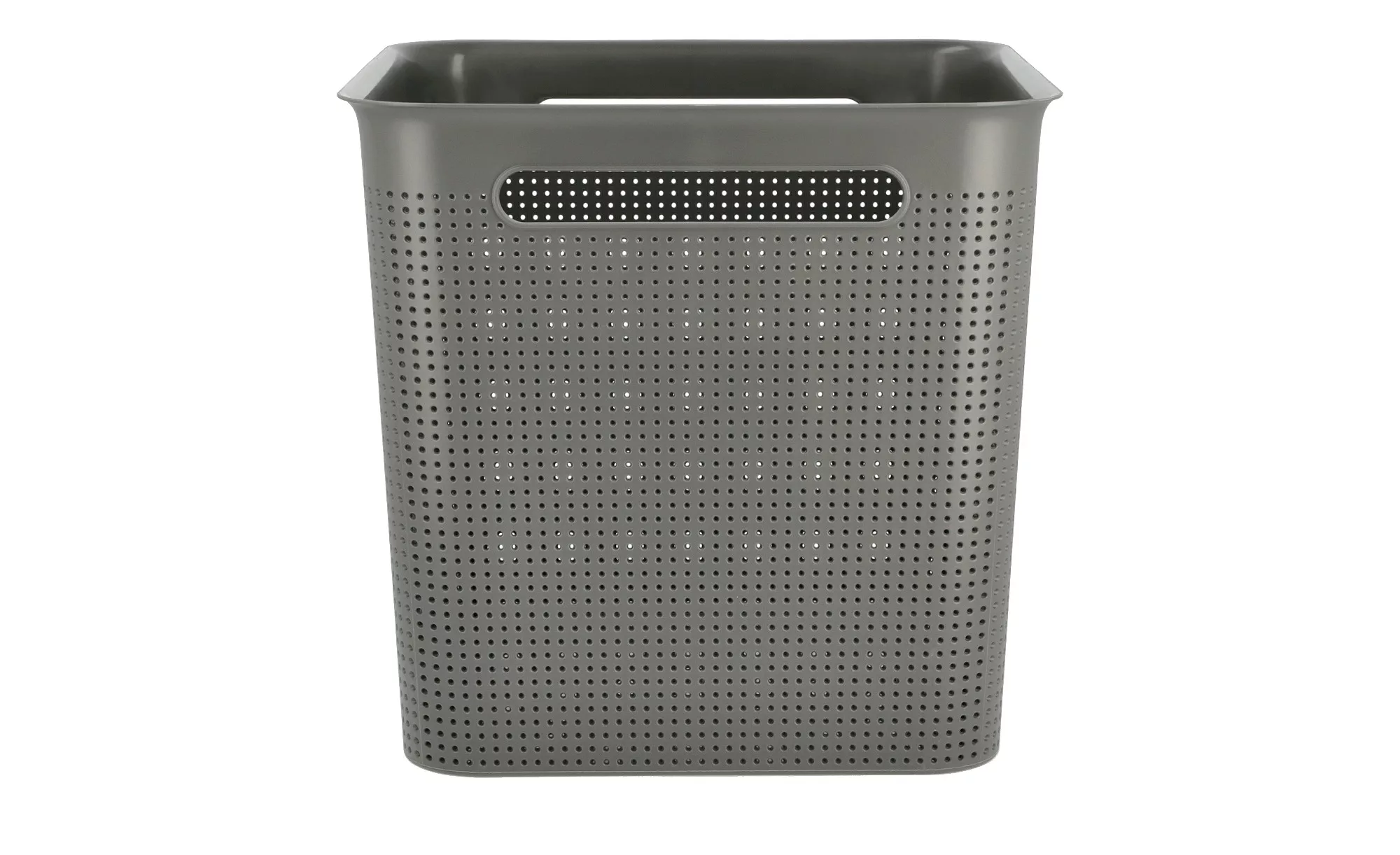 Rotho Aufbewahrungsbox - grau - Kunststoff - 29 cm - 28 cm - 29 cm - Sconto günstig online kaufen