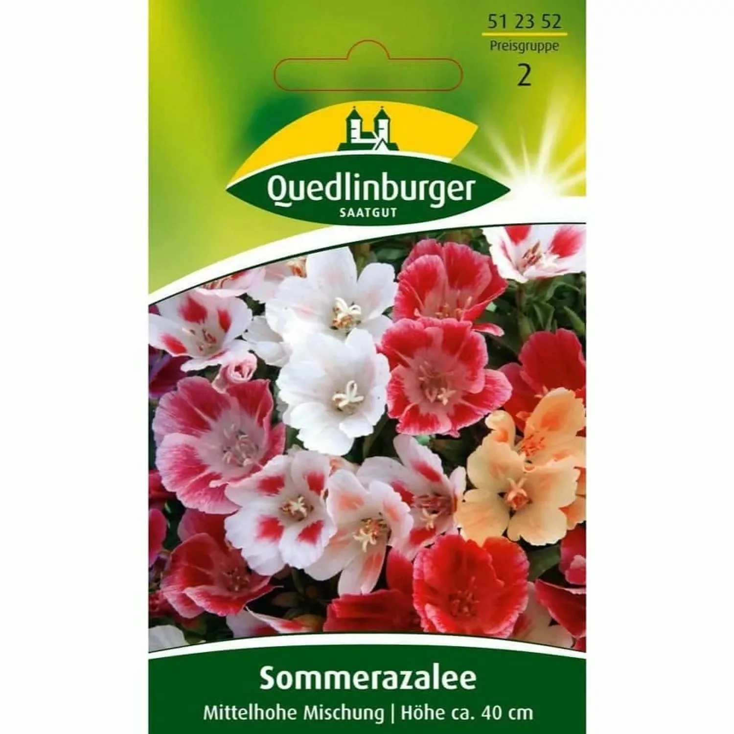 Quedlinburger Sommerazalee ''Mittelhohe Mischung'' günstig online kaufen