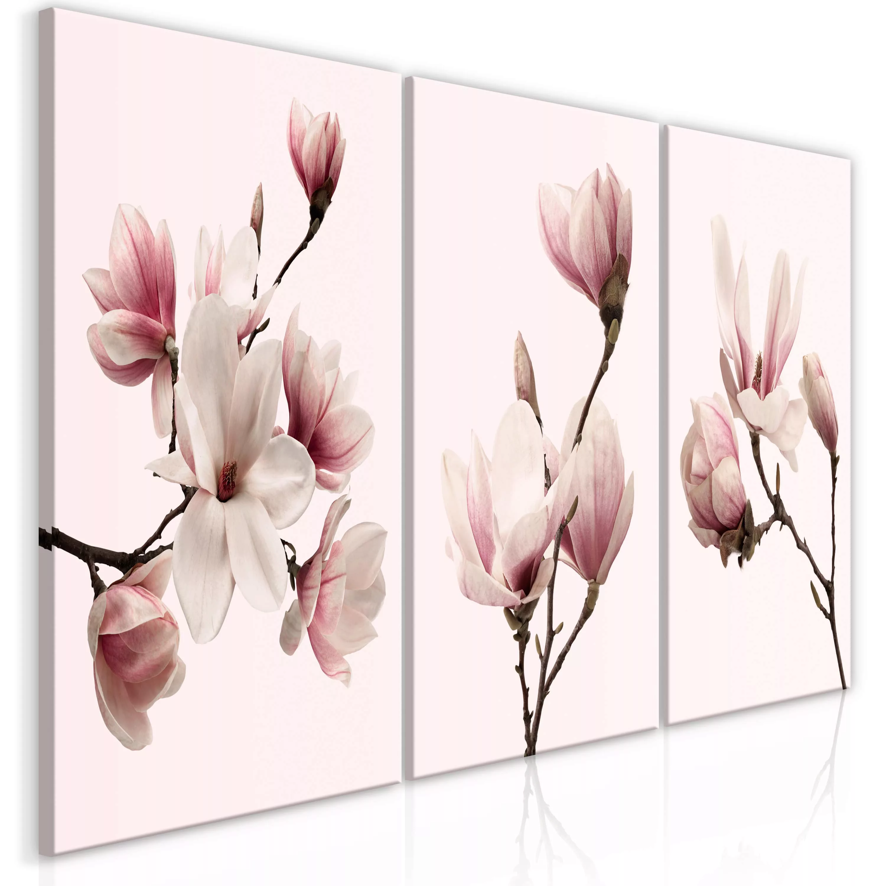 Wandbild - Spring Magnolias (3 Parts) günstig online kaufen