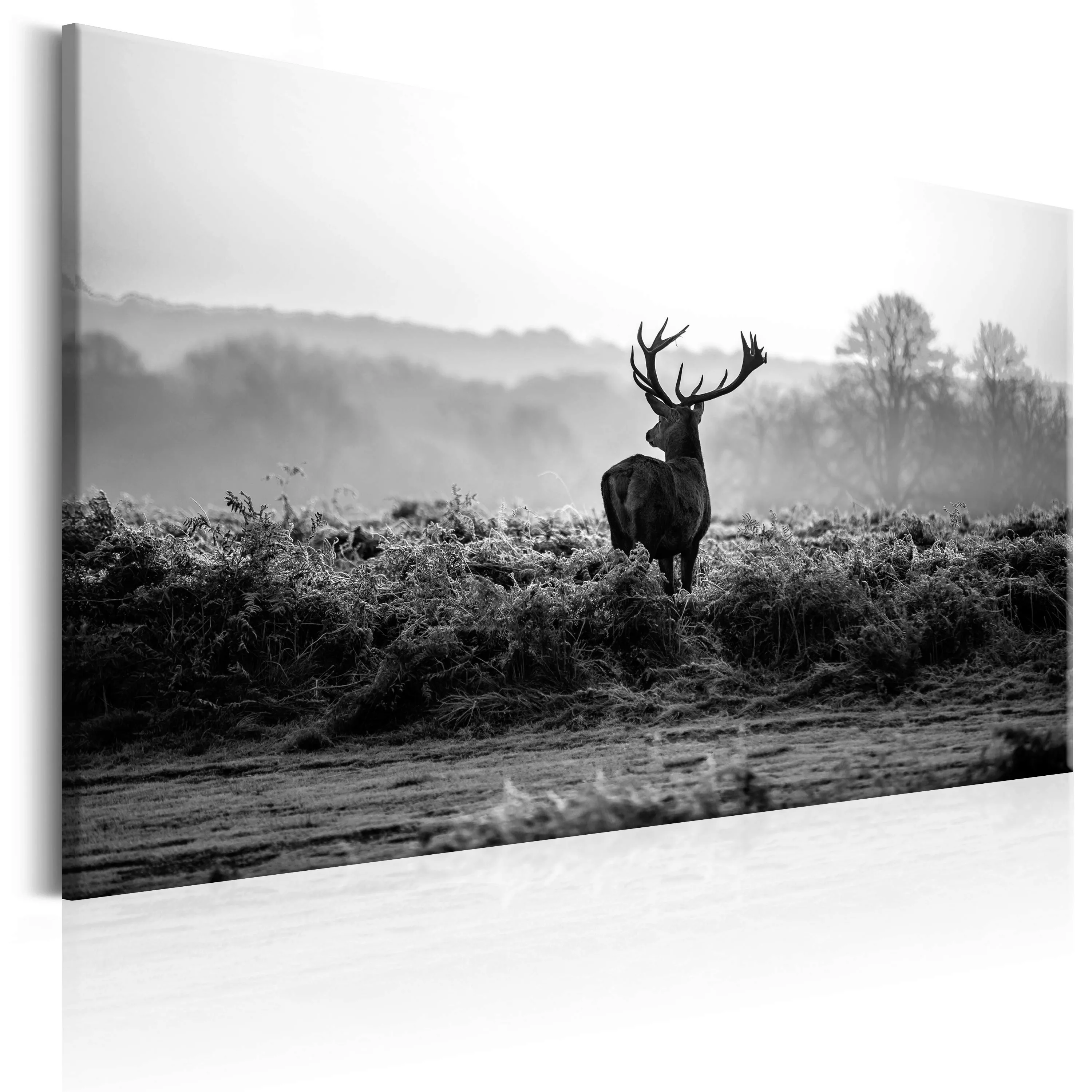 Wandbild - Deer In The Wild günstig online kaufen