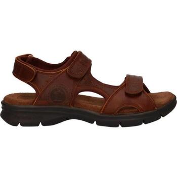 Panama Jack  Sandalen SALTON BASICS C4 günstig online kaufen