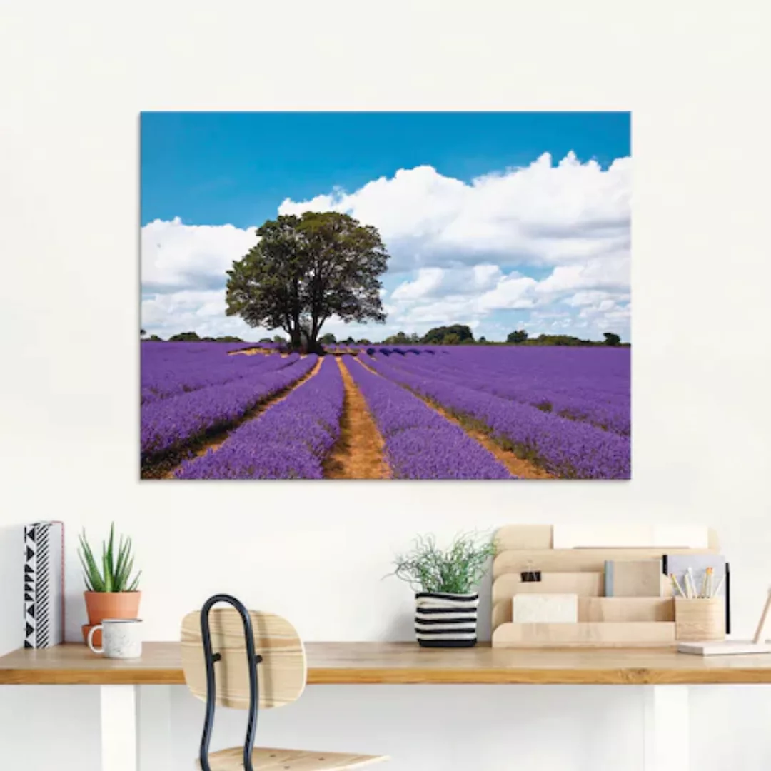 Artland Glasbild "Schönes Lavendelfeld im Sommer", Felder, (1 St.), in vers günstig online kaufen