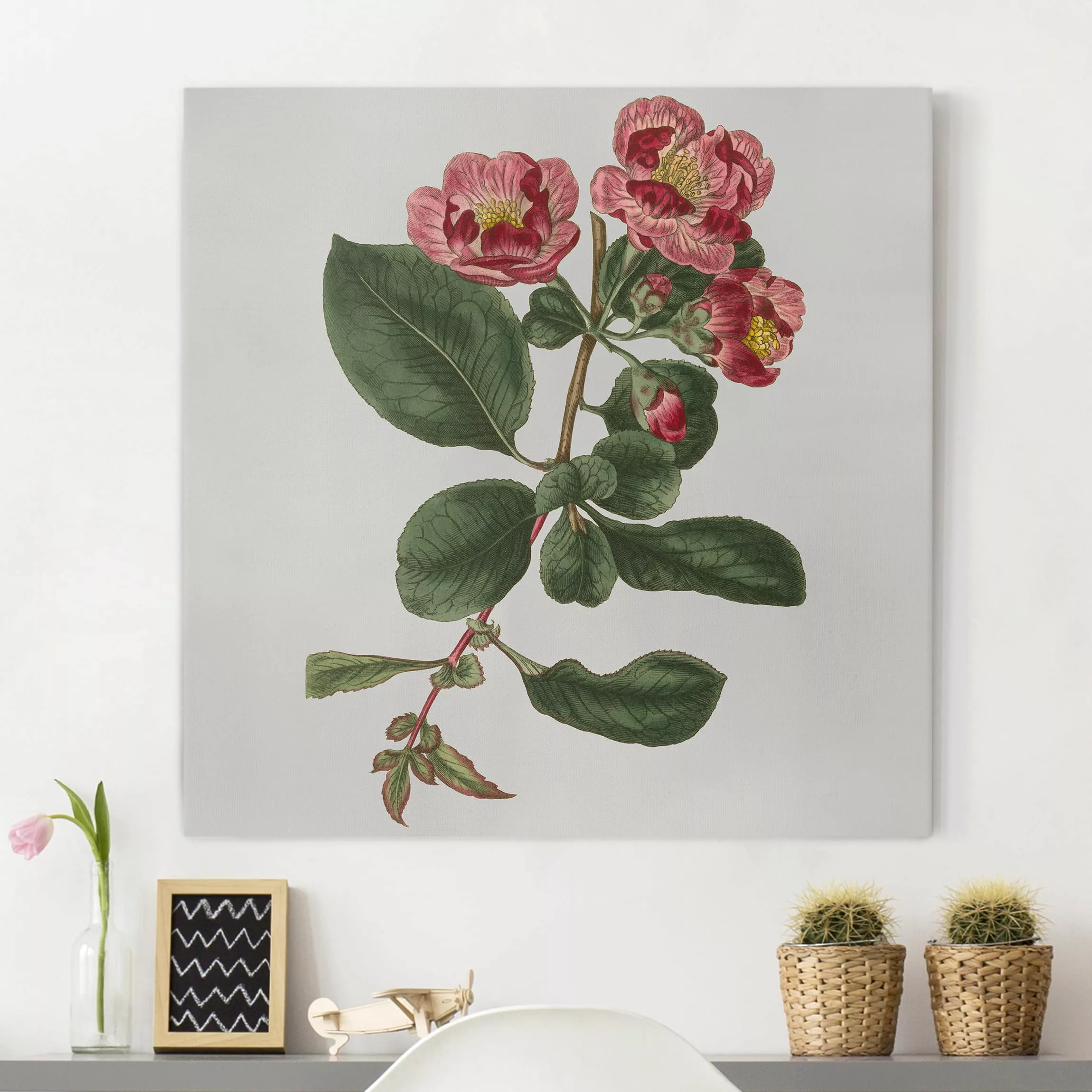 Leinwandbild Blumen - Quadrat Florale Schmuckstücke I günstig online kaufen
